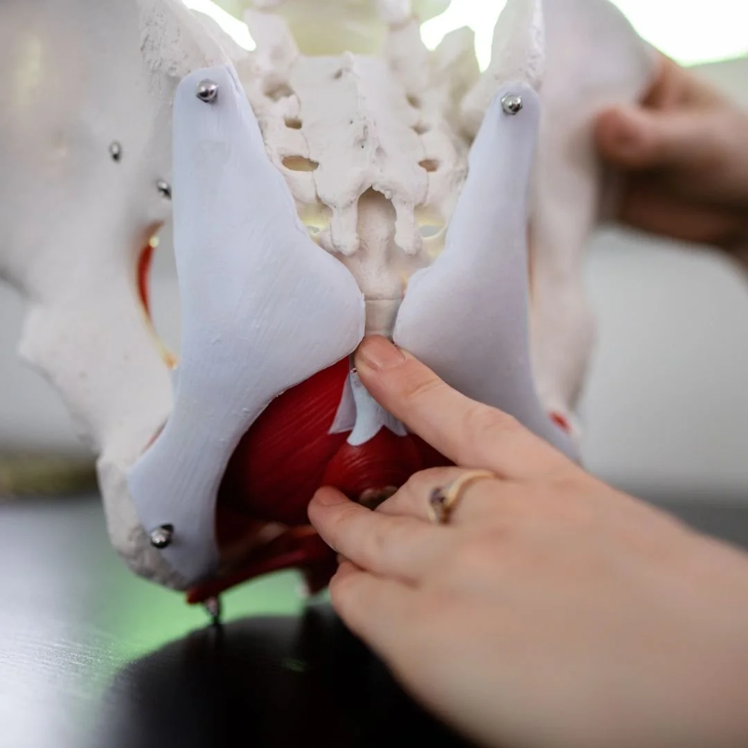 coccyx pain explained