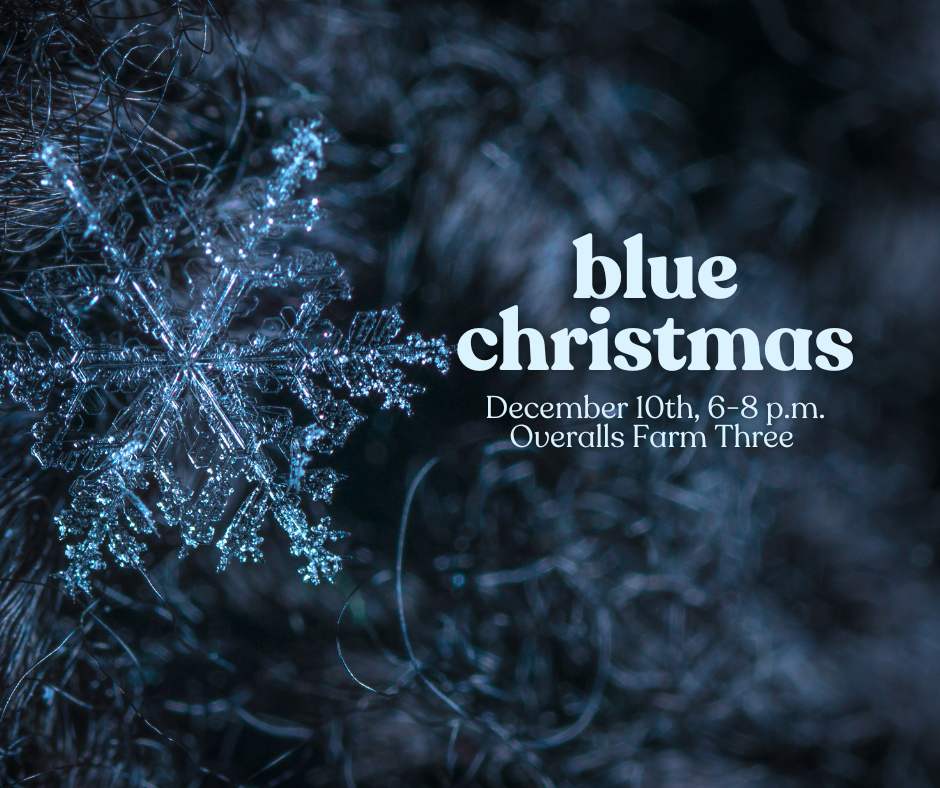 Blue Christmas on Farm Three