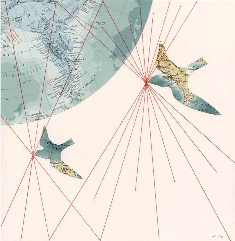 Consider the Birds: Dove-pigeon