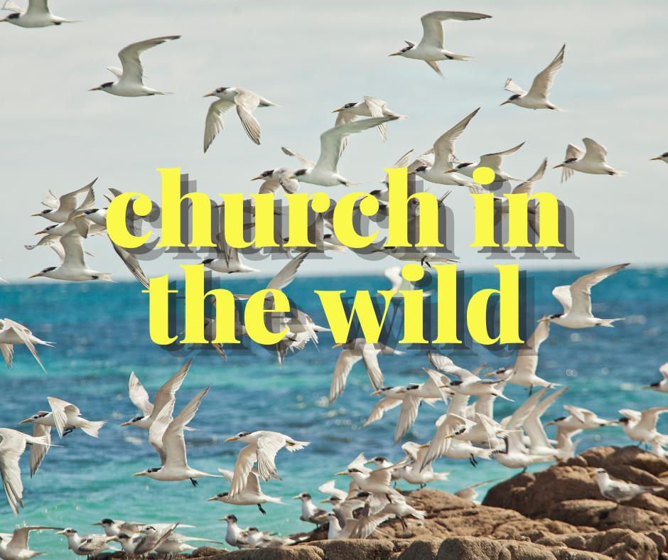 Church in the Wild with Duval Audubon