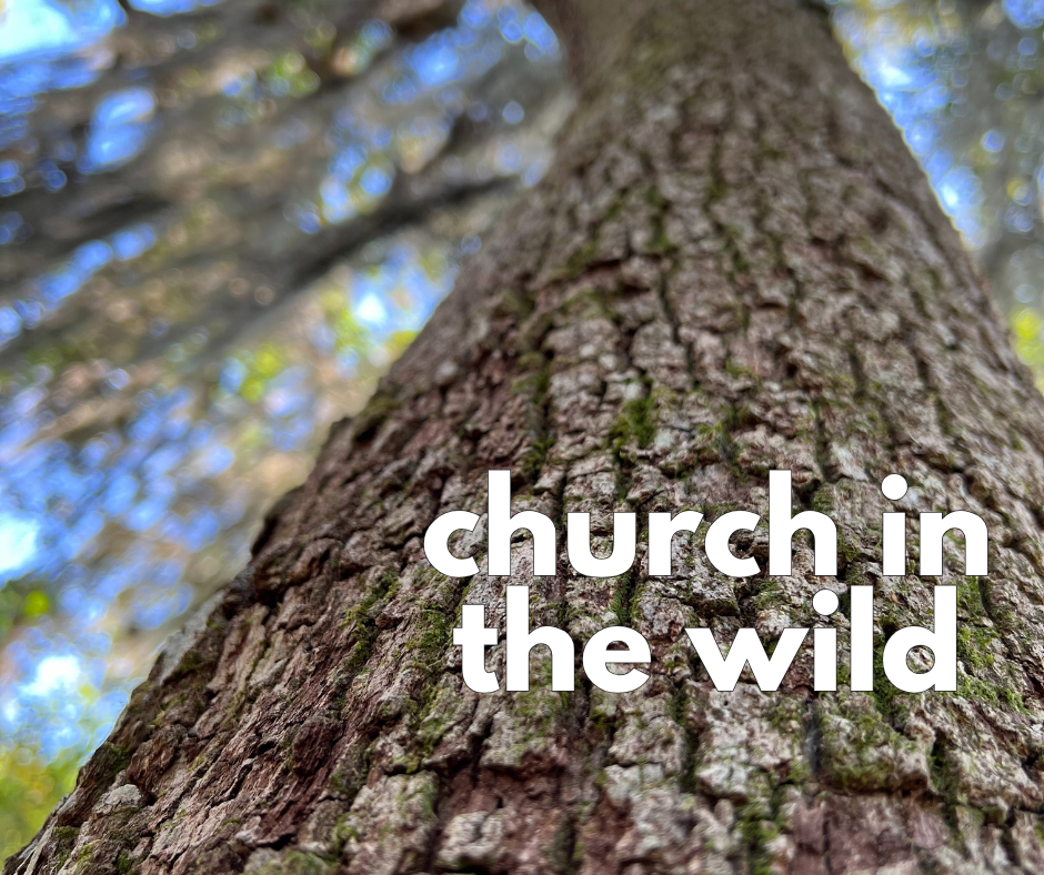 Church in the Wild