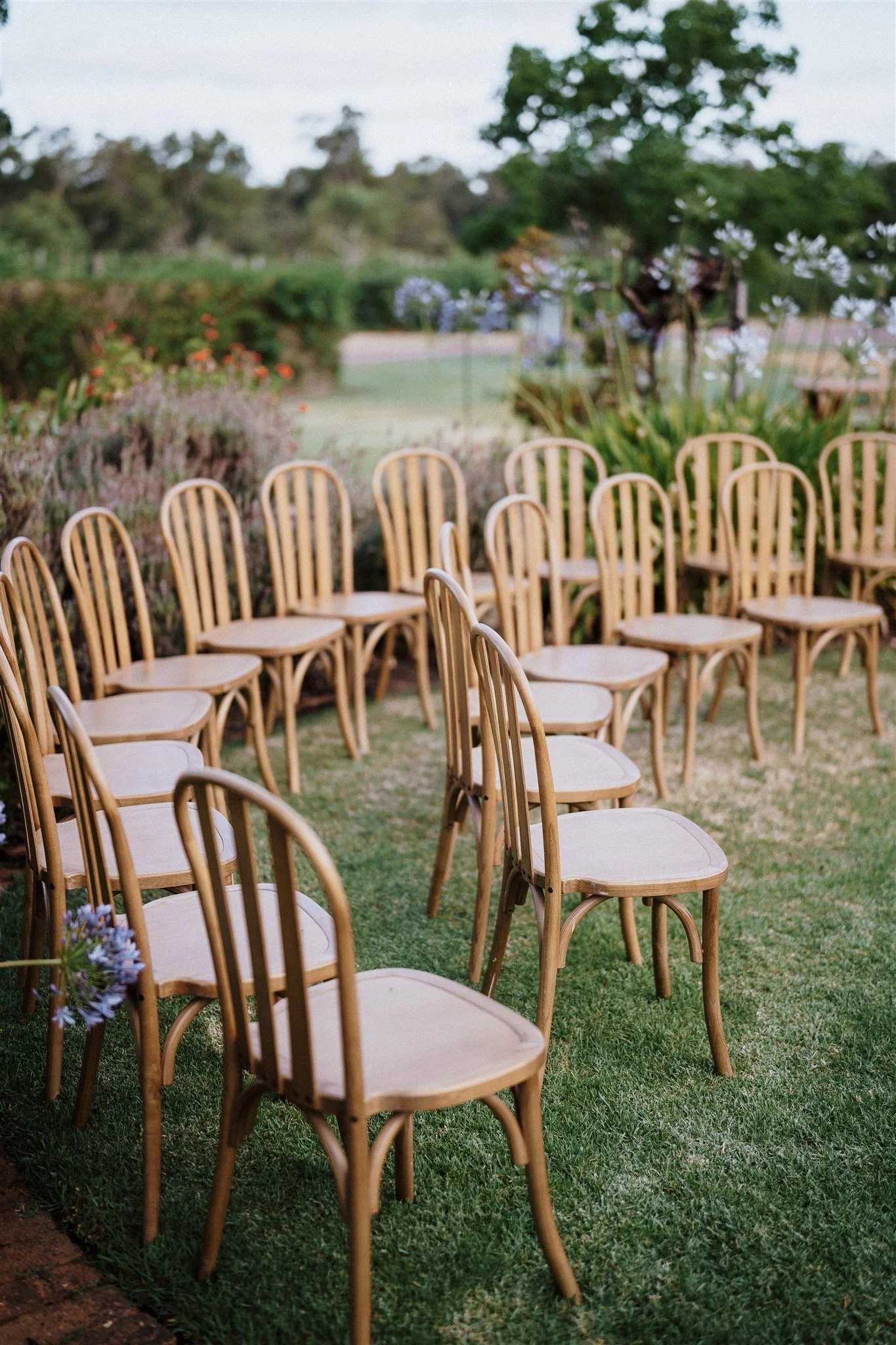 Lauren natural oak bentwood chairs set up for a wedding ceremony