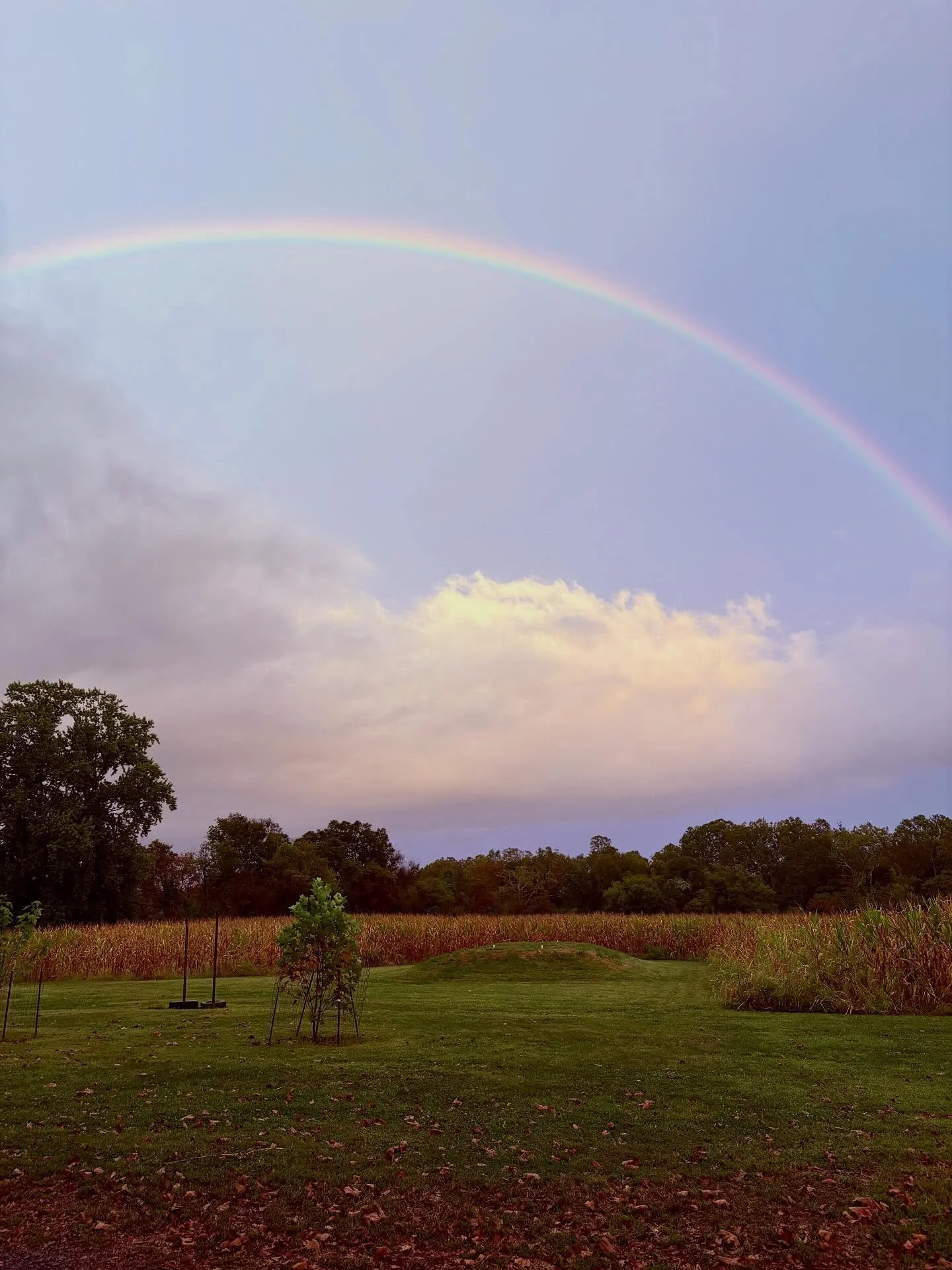 🌈 Know what God said when He made the first rainbow/
Just throw this at the end if I&rsquo;m too late for the intro