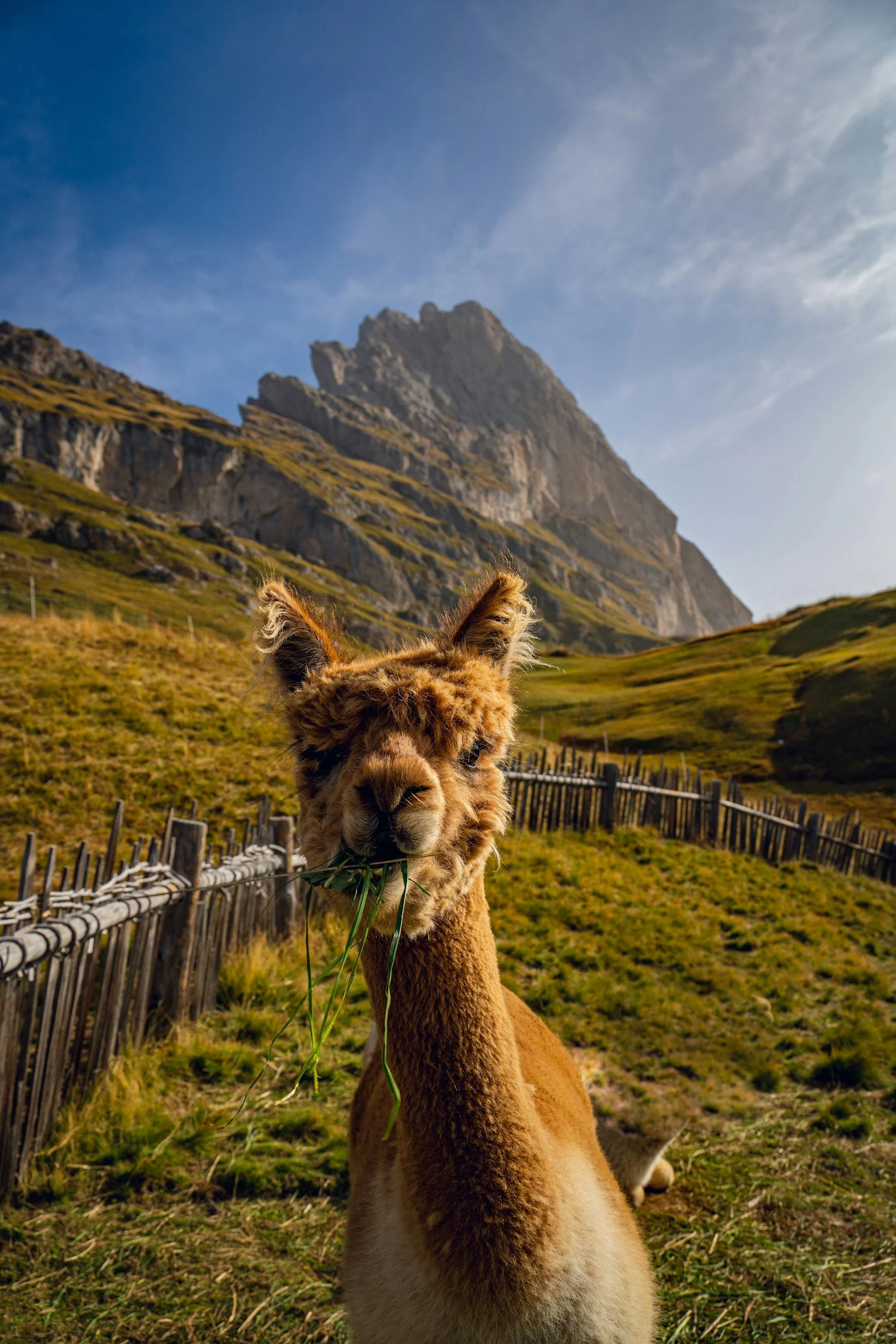 unsplash-image-UJx_wqO8lVs.jpg