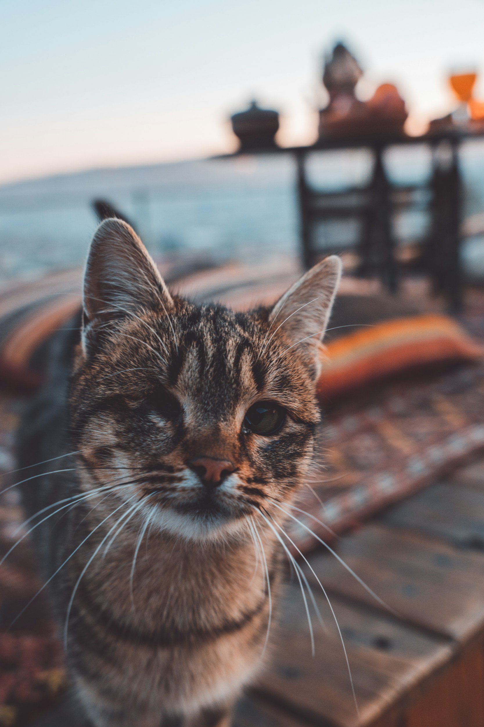 unsplash-image-7NswWez3FzY.jpg