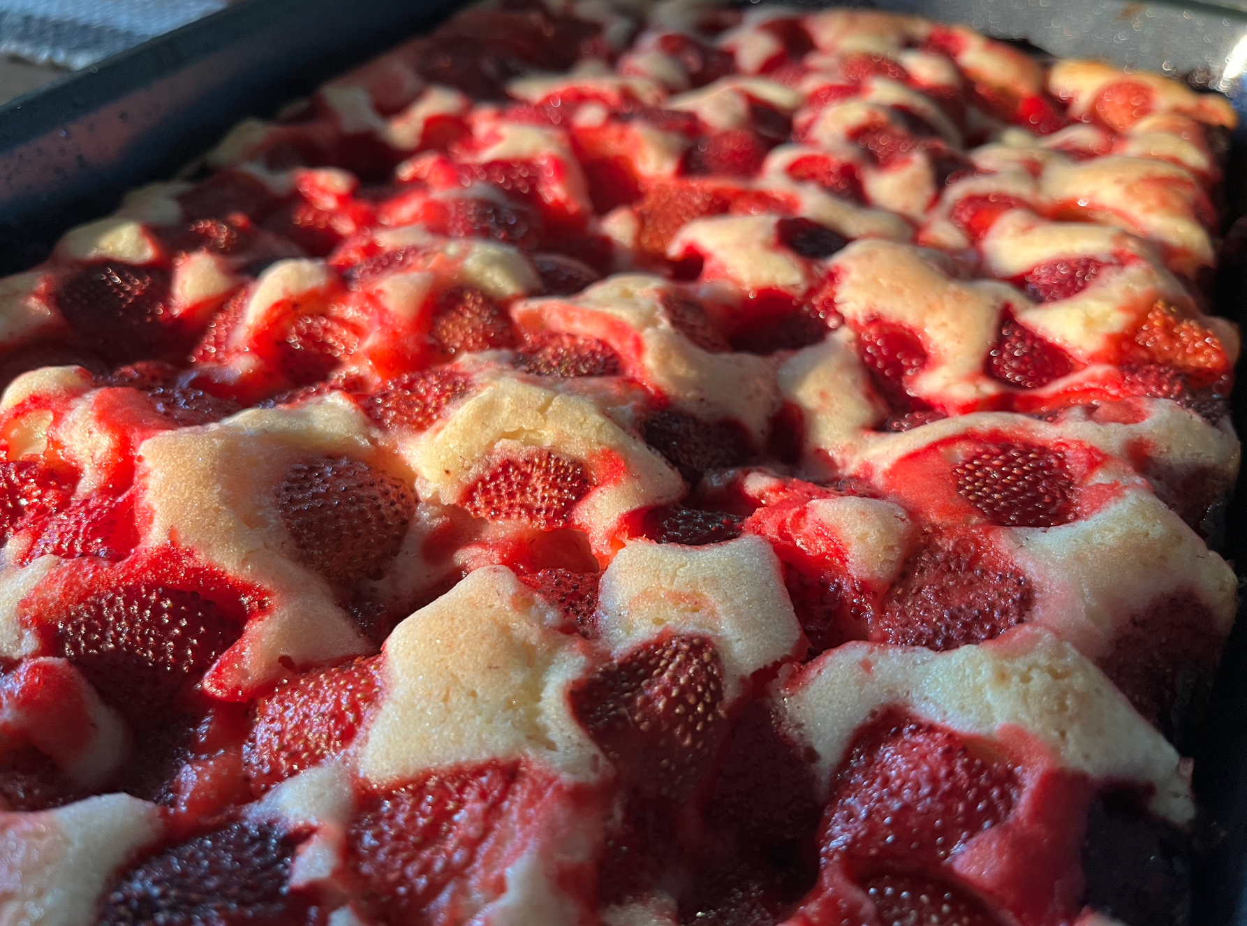 Screen Shot 2026-03-26 at 2.24.34 PM.png