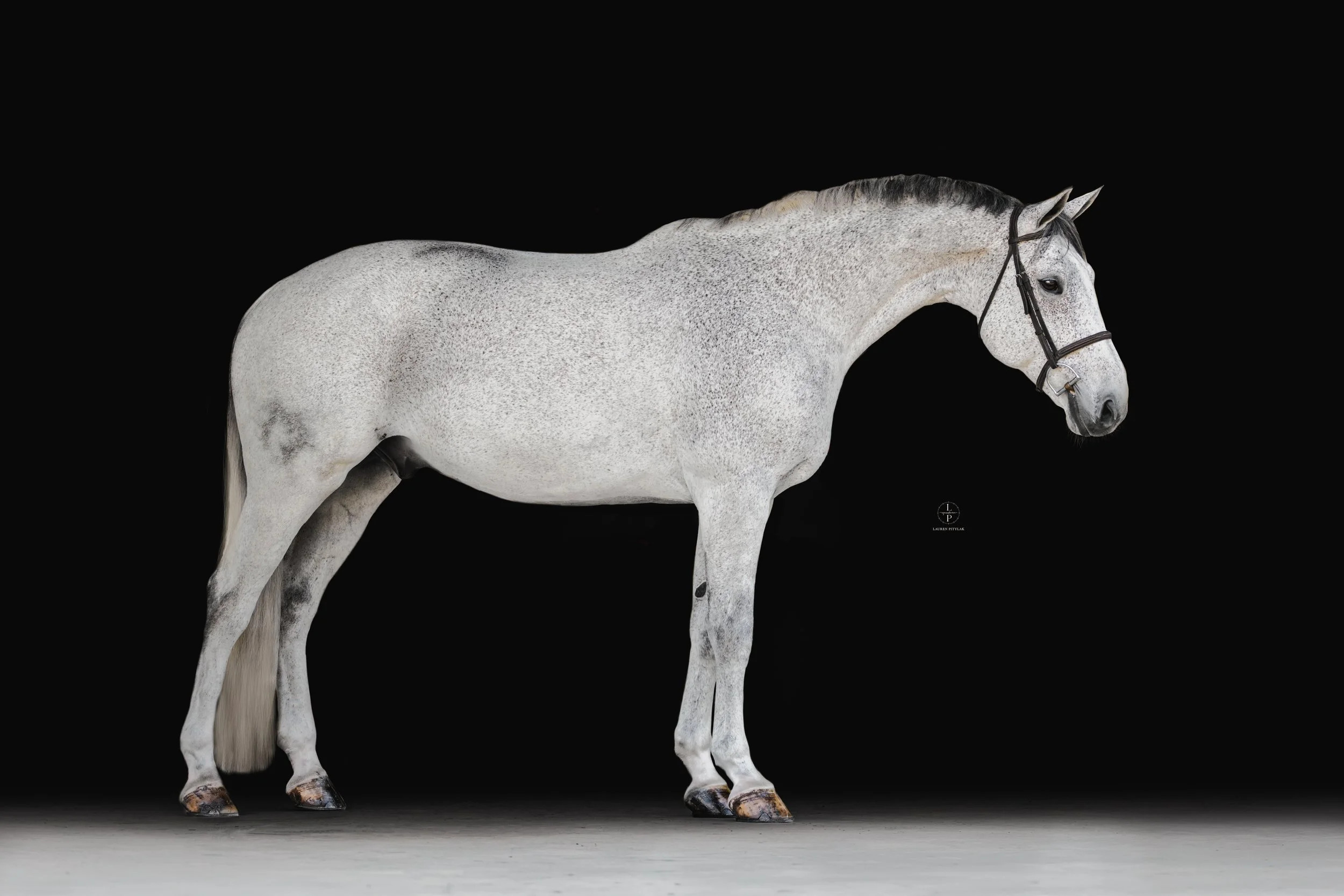260318_LPEquestrian_Potterfield_BB_WEB-10.jpg