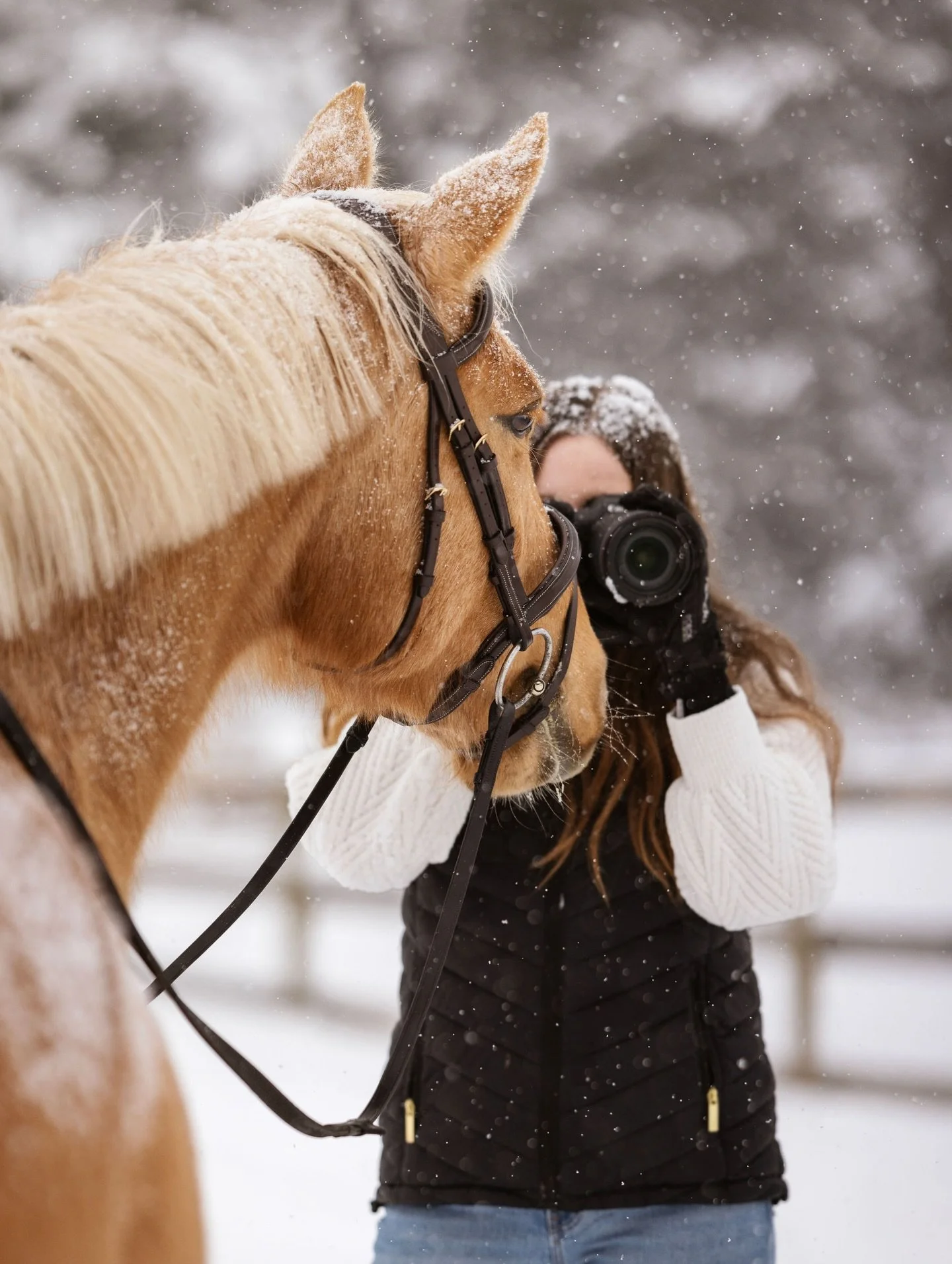 Rosie and I are wishing you all a wonderful holiday from Michigan ❤️🎄

Only a few more days until the dogs and I head down to Florida for the winter season! I&rsquo;m soaking up the last of the quiet moments with friends and family today, along with