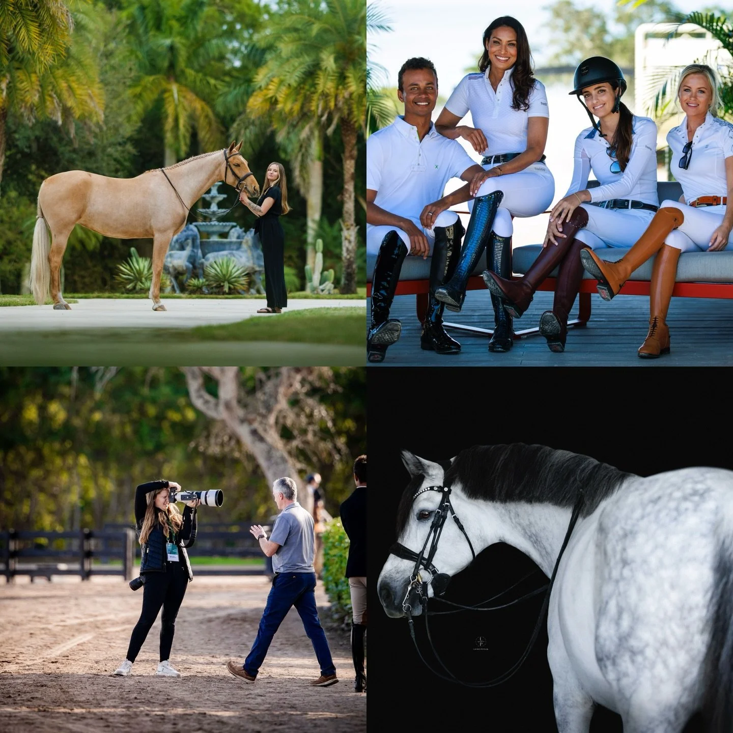 2025 was a year that changed me.

It was filled with growth, risk, gratitude, and moments that still don&rsquo;t feel quite real. Some of my favorite memories include shooting AGDF 2025, bringing Rosie to Wellington for the first time, and stepping i