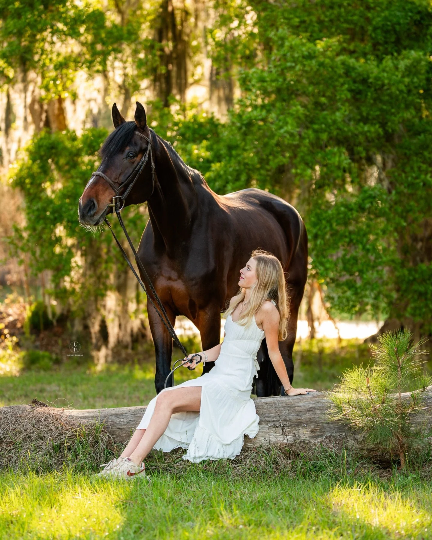 Reminiscing over this golden evening beneath the oaks and cypress trees in Ocala&mdash;capturing the quiet, undeniable bond between Eliza and each of her horses.

Every horse brought something different to the lens, and I loved leaning into those lit