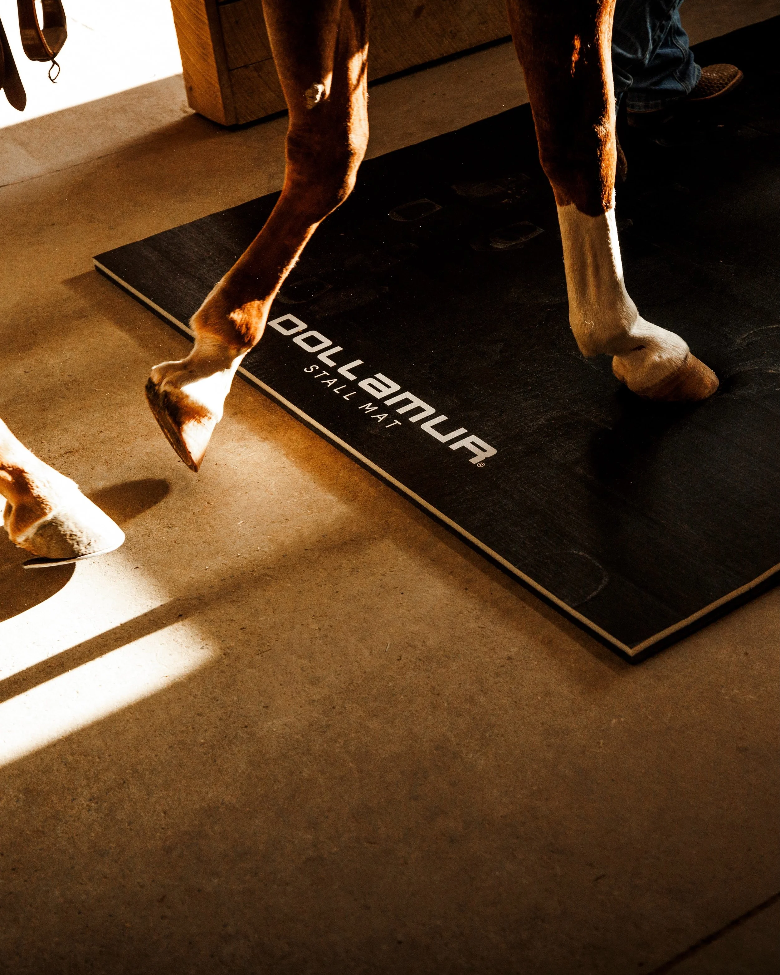 Last fall, I had the opportunity to create content for Dollamur, a leading manufacturer of sport surfaces for the launch of their line of portrable stall mats. 

From driving around Michigan with a U-Haul trailer loaded with 12 different mats, to cli