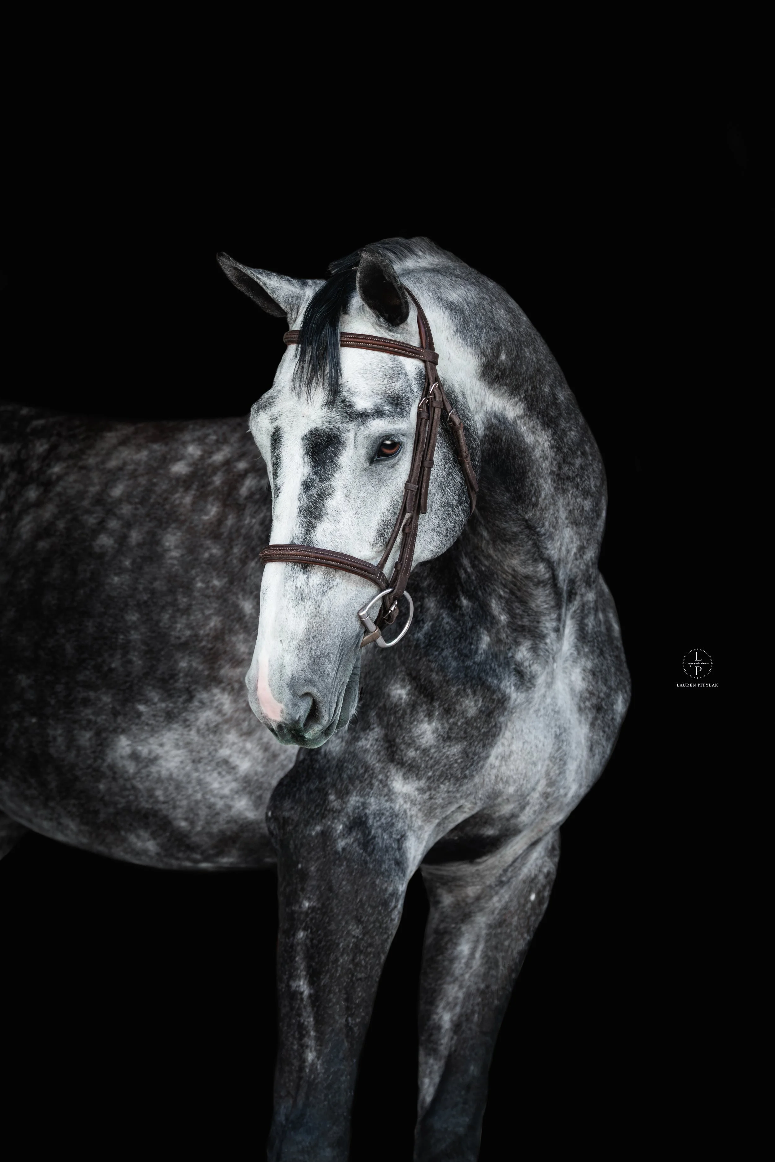 260318_LPEquestrian_Potterfield_BB_WEB-3.jpg