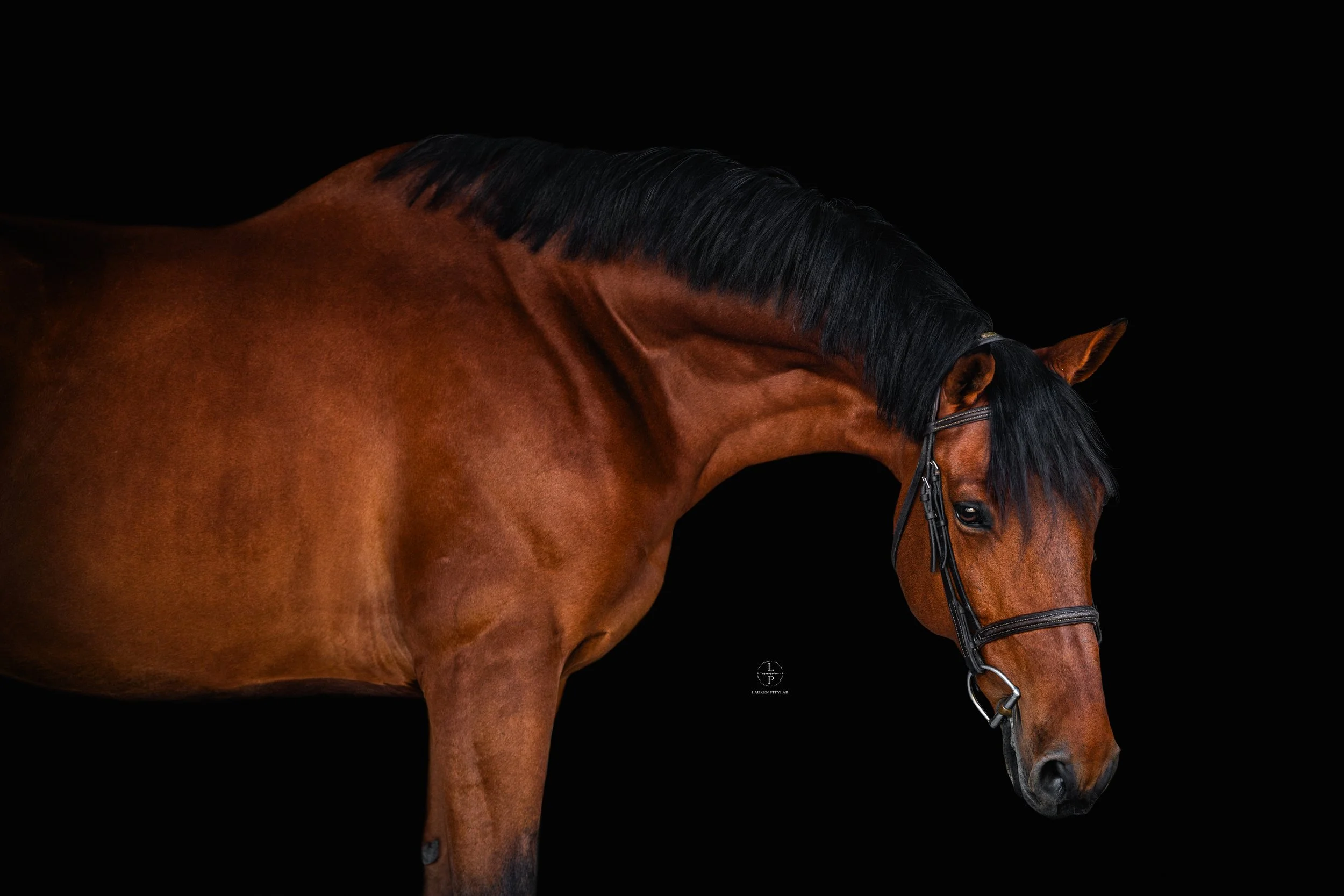 260318_LPEquestrian_Potterfield_BB_WEB-6.jpg