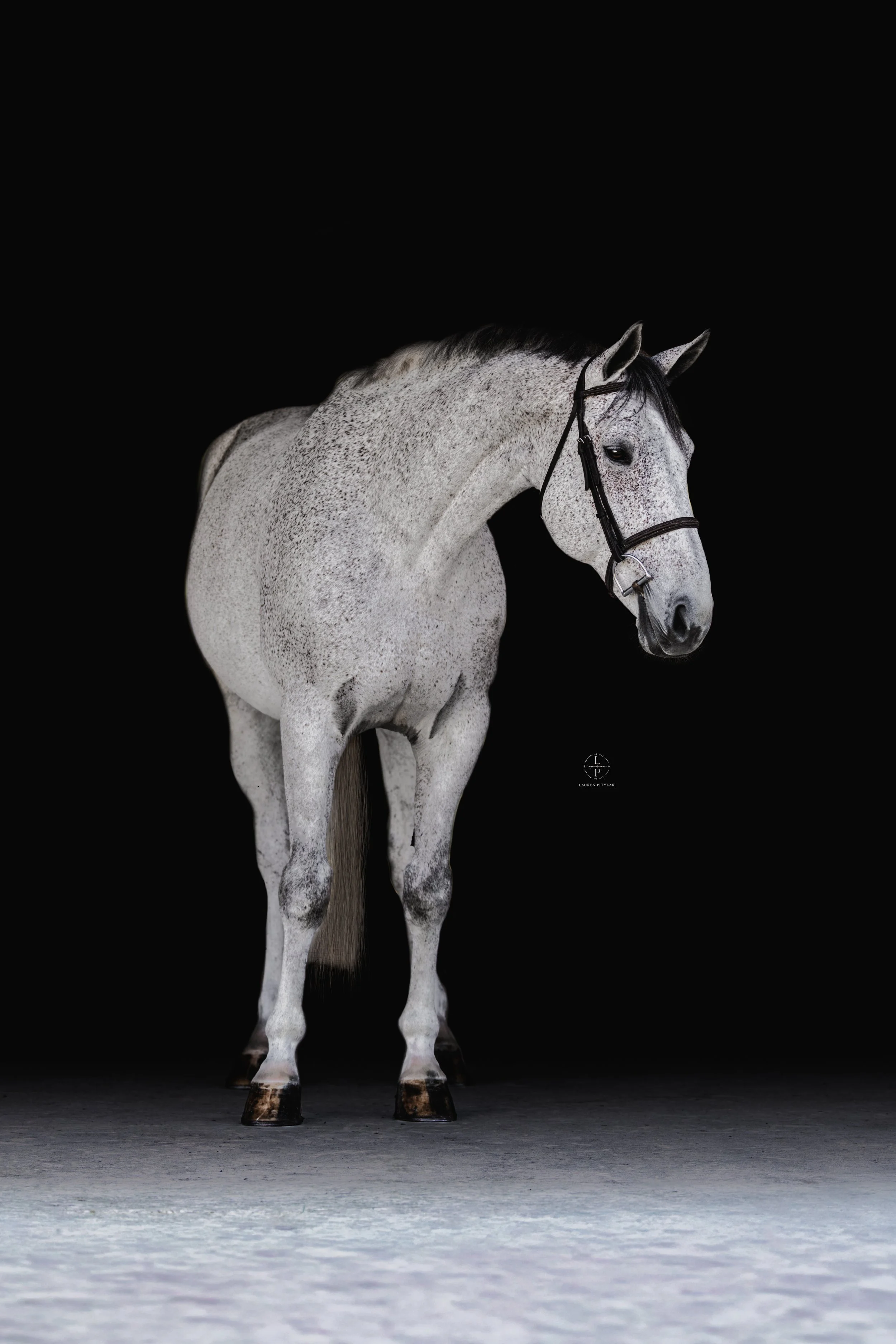260318_LPEquestrian_Potterfield_BB_WEB-14.jpg