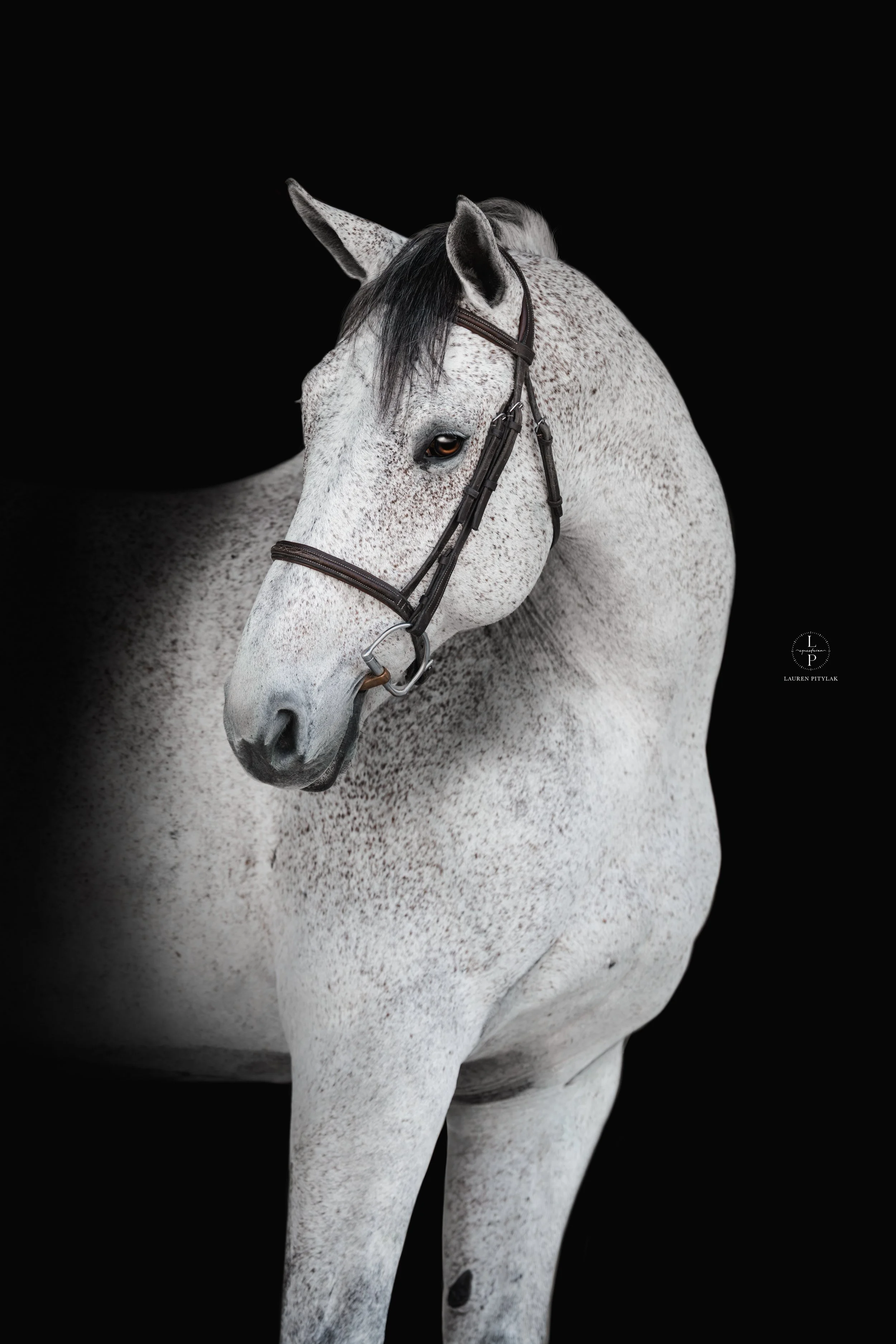 260318_LPEquestrian_Potterfield_BB_WEB-4.jpg