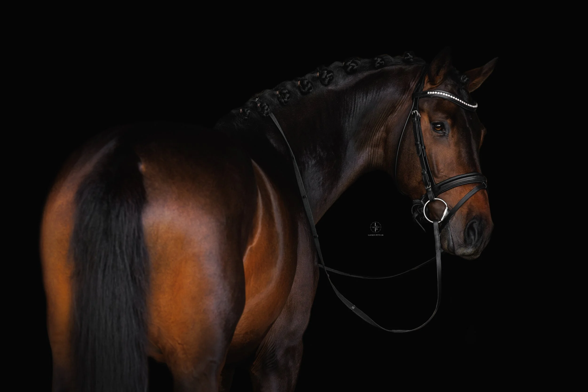 4I8A7484-Enhanced-NR copySM.jpg