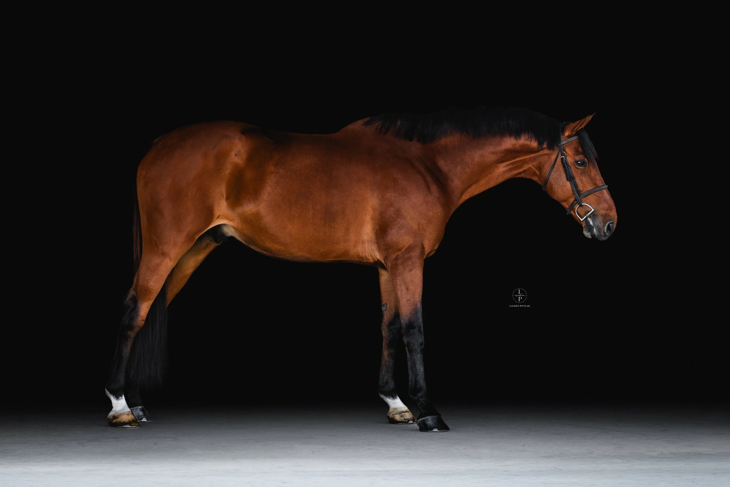 260318_LPEquestrian_Potterfield_BB_WEB-12.jpg