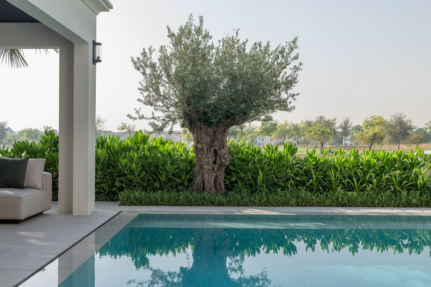 MDO | Landscape Design Services | Dubai