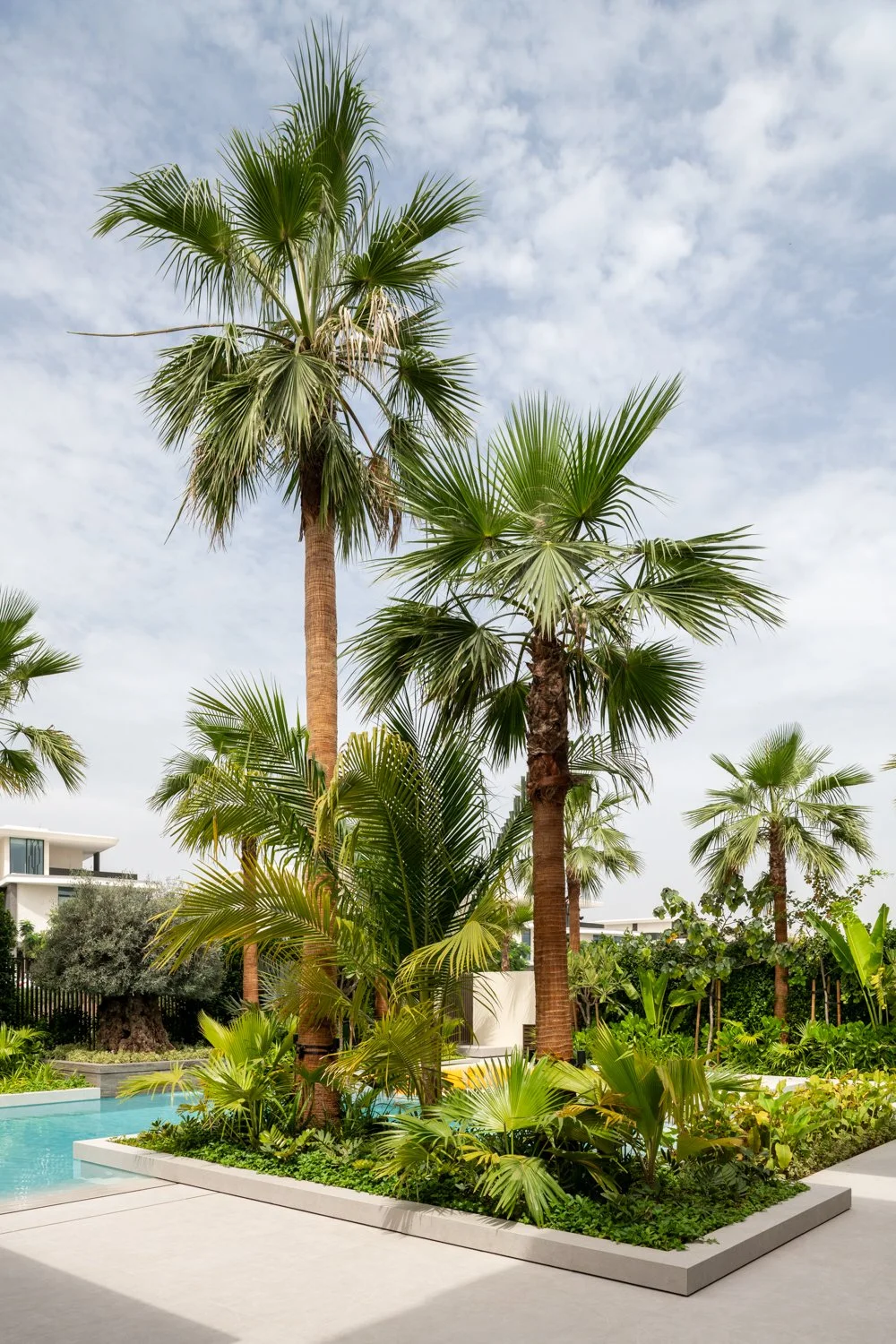 MDO-Palm-Hills-67-116.jpg