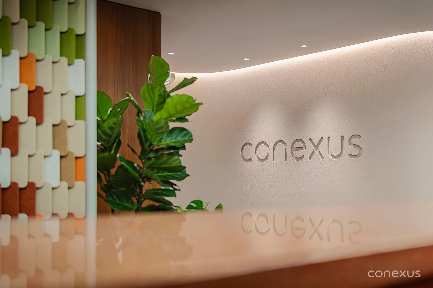 Conexus Studio Malaysia Logo Wall - WM Tiny.jpg