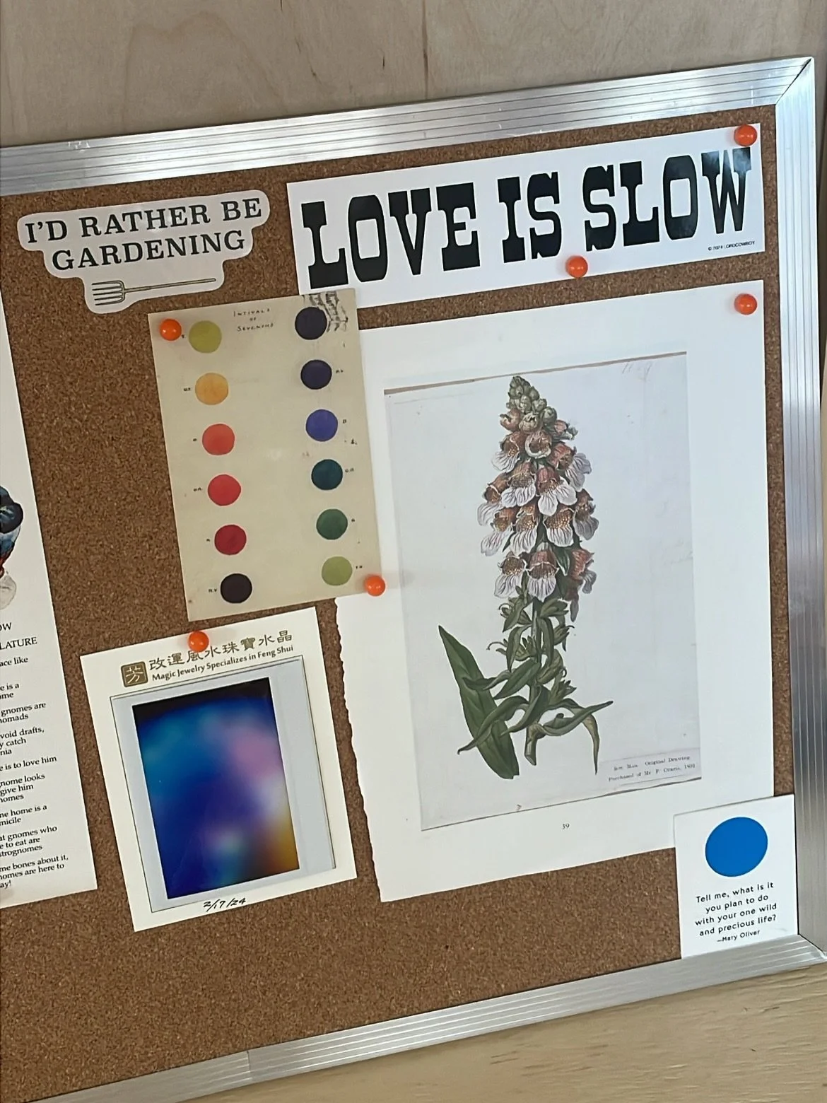 Studio scenes 💫 &amp; Art of my dreams 🪱