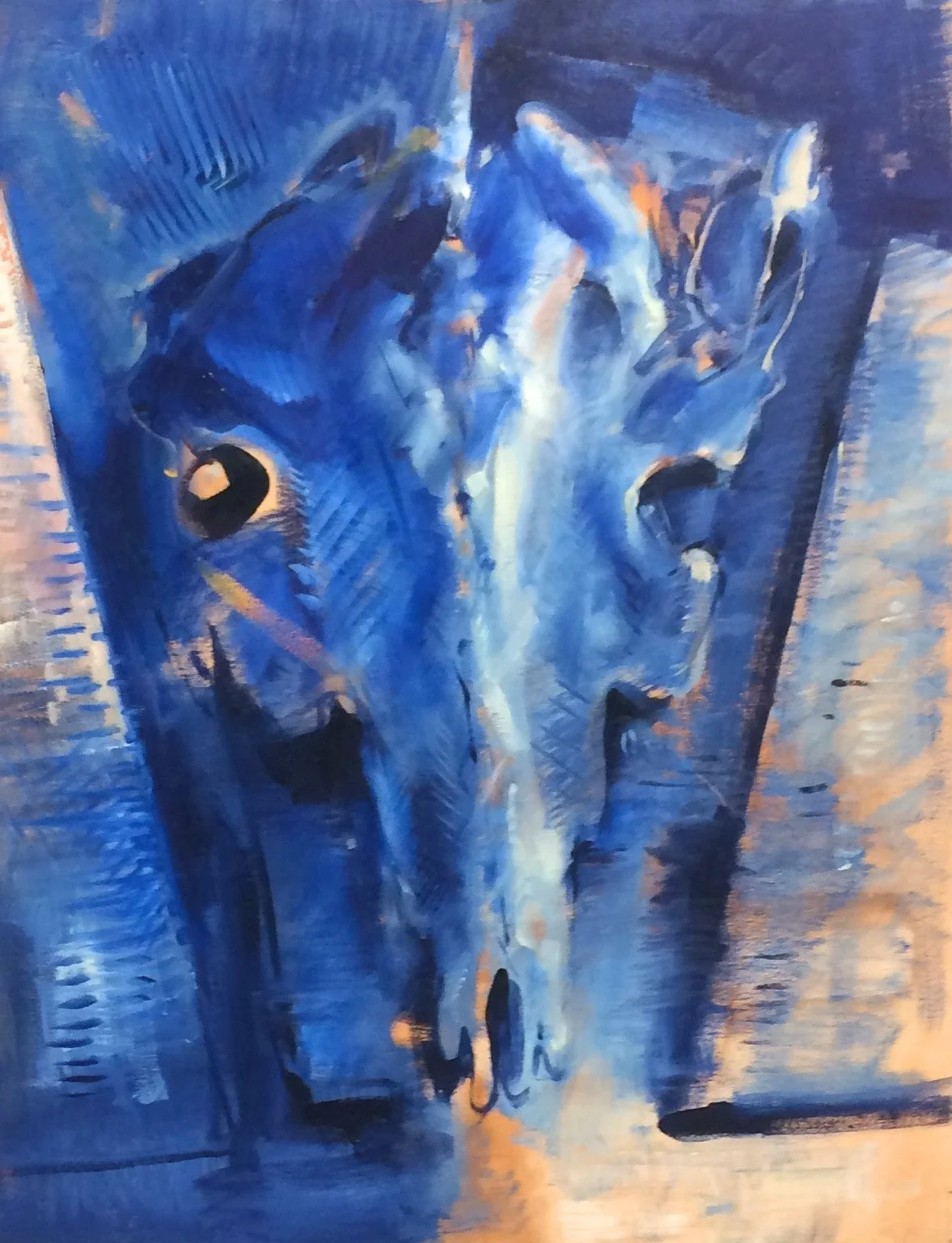Wyrick bull head.jpeg
