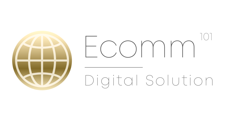 E-Comm Solution 101