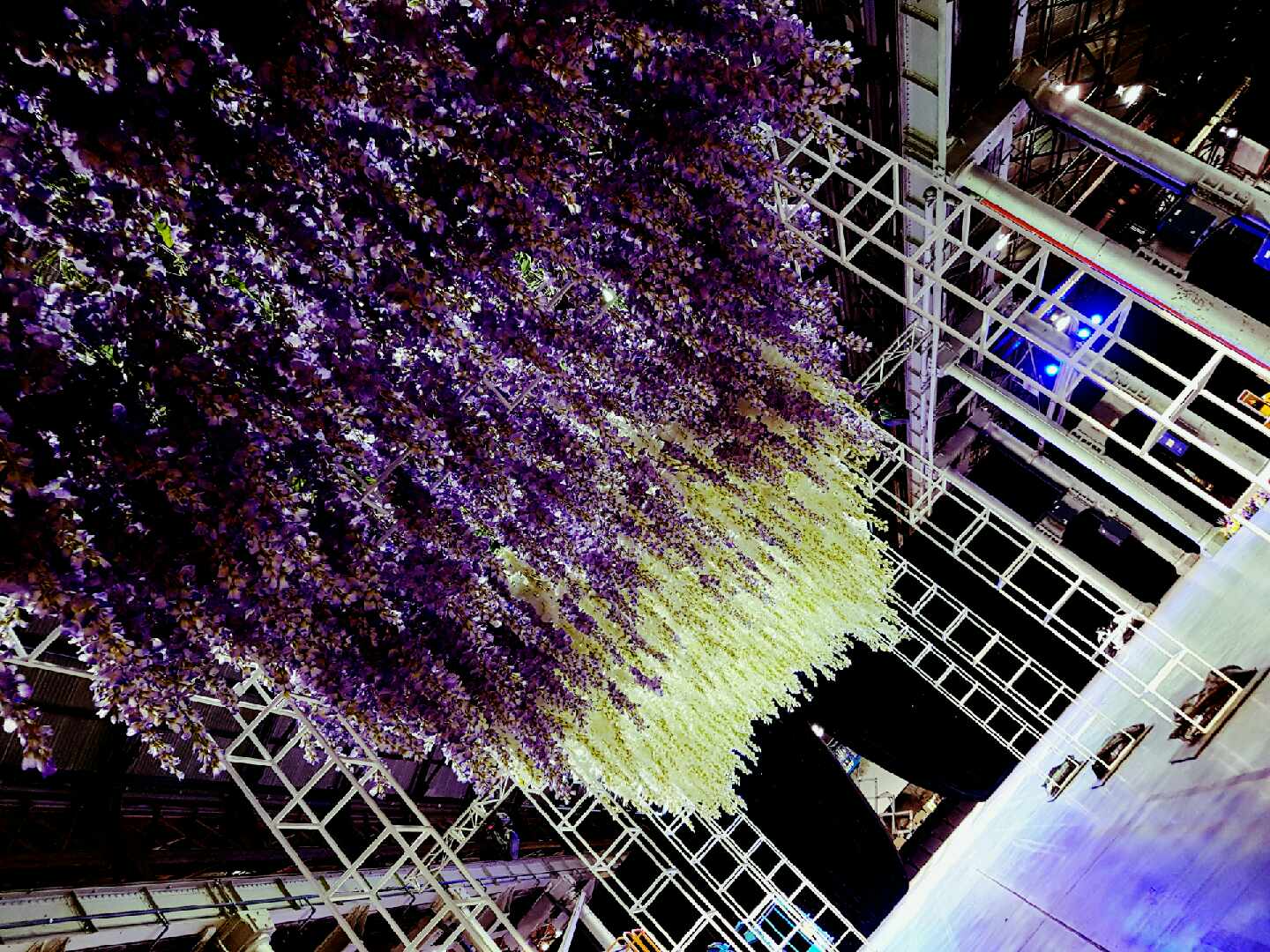 McGrath End of Year Awards Night | Part One