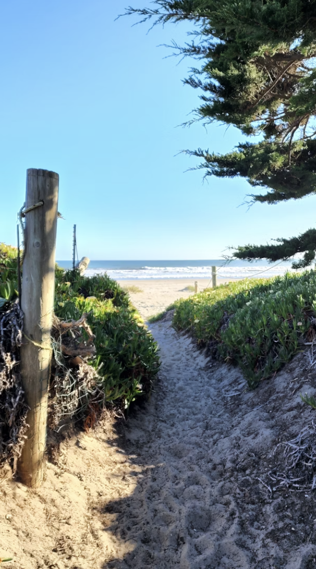 Finding Ease in the Wilderness with Lawrence Schuessler