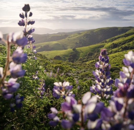 Screenshot 2026-01-15 at 2.01.19 PM.png