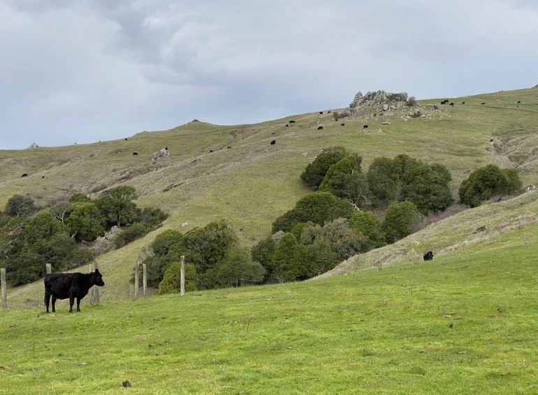 Screenshot 2026-01-15 at 2.04.21 PM.png