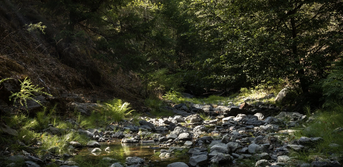 When Awareness Becomes Natural with Dave Smith