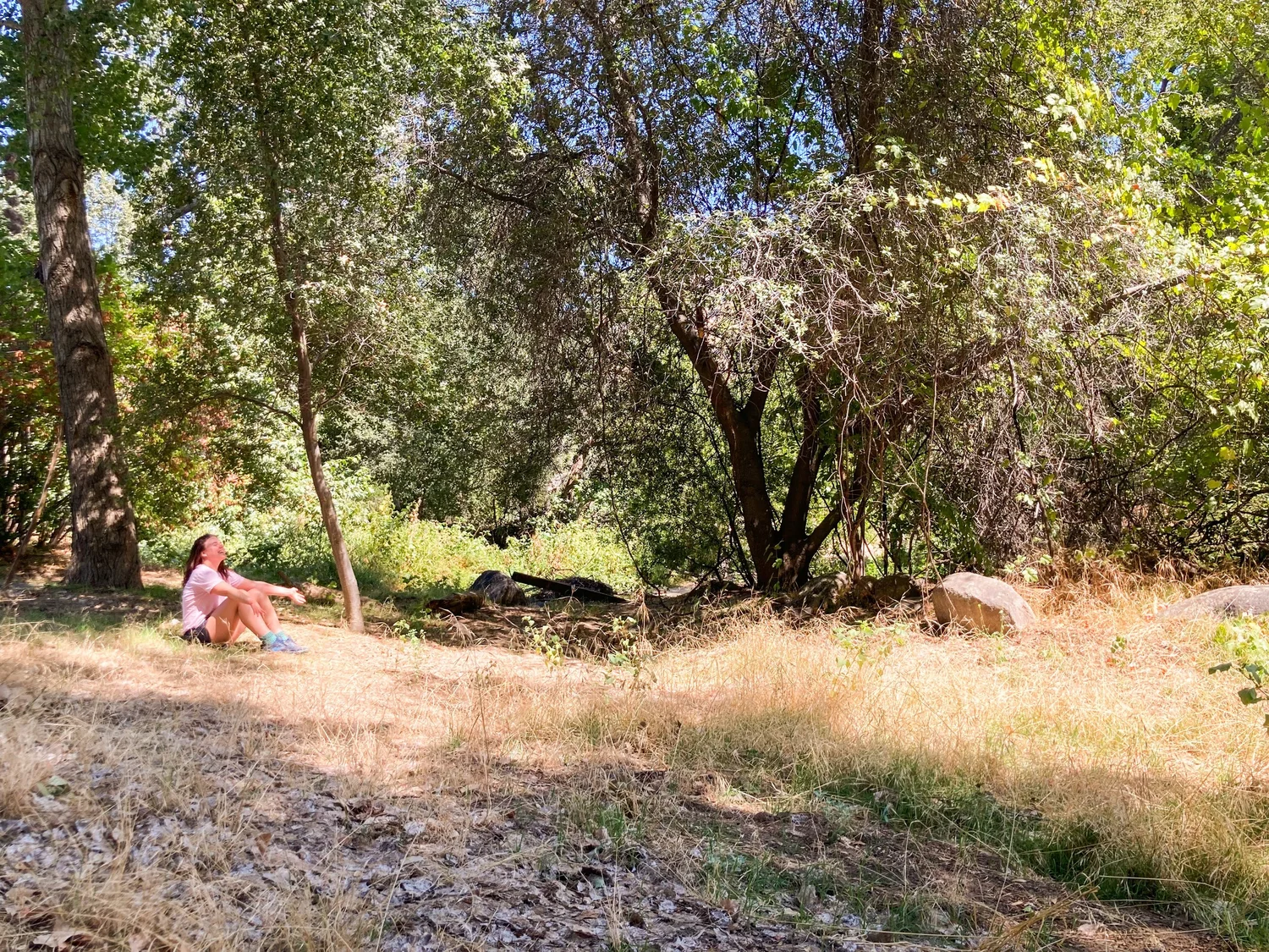 View of Off Grid Holiday Accommodation | Digital Detox Holidays