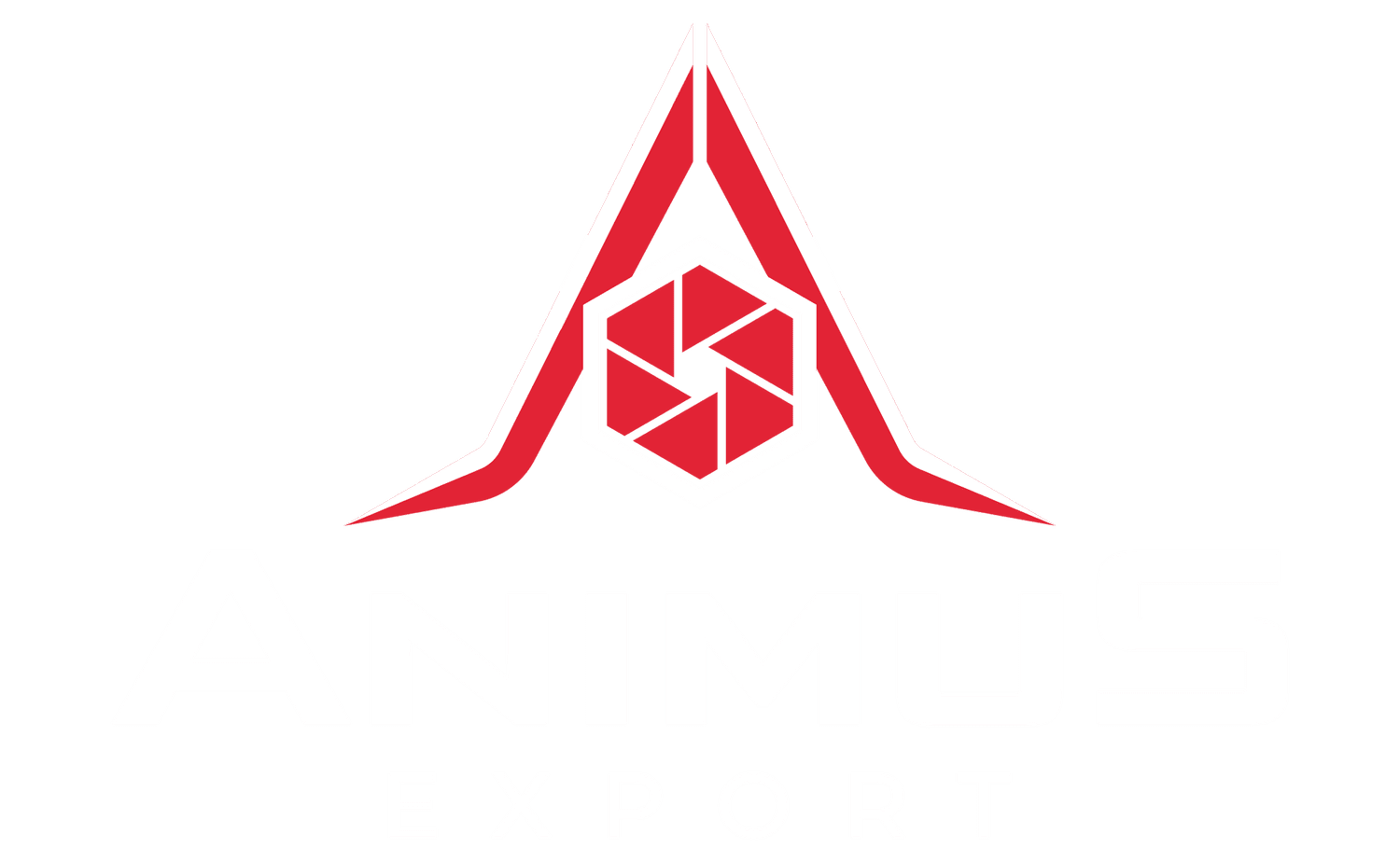 Animus Export