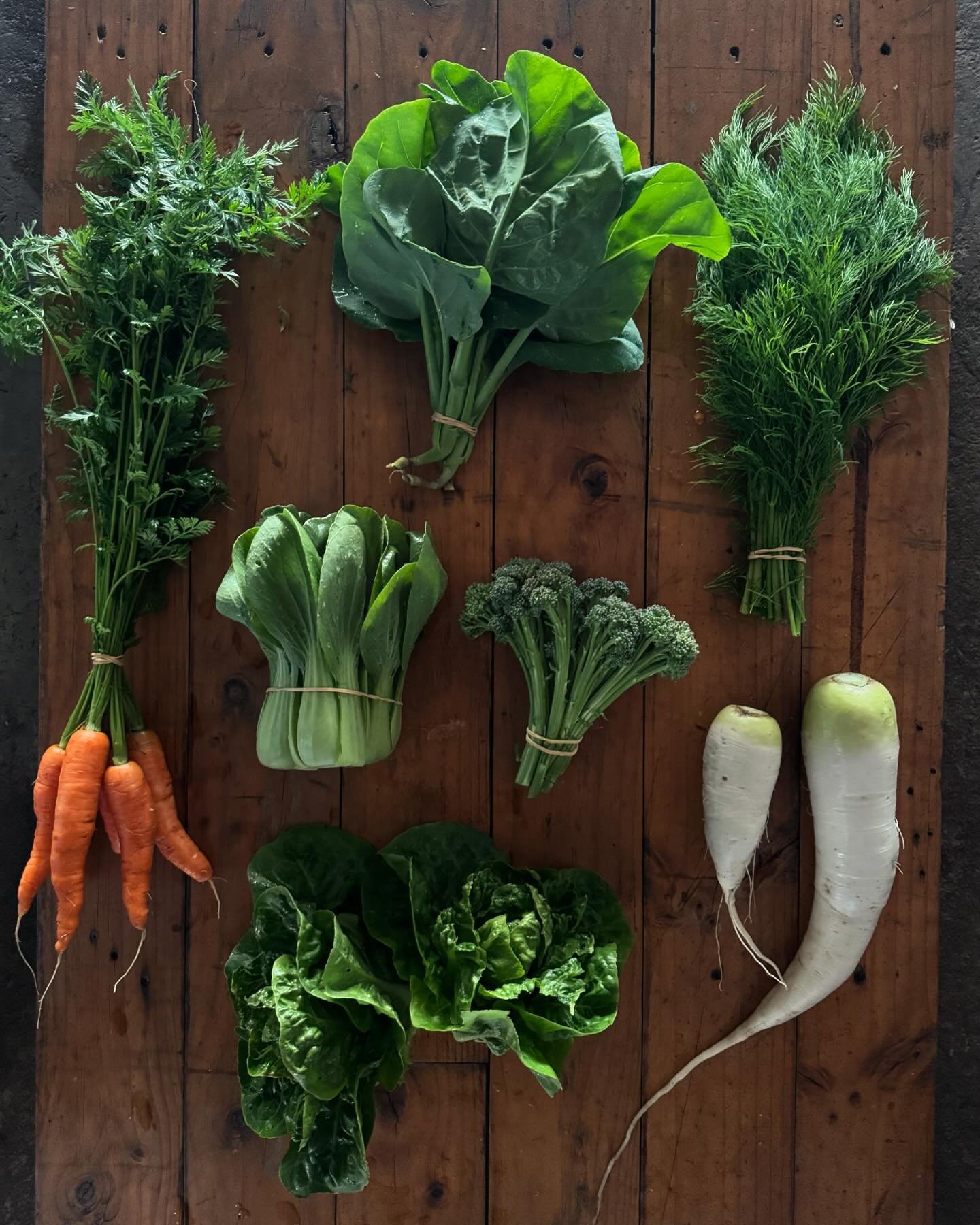 CSA shares this week include carrots, daikon, gai lan, pak choy, dill, little gems and sprouting broccoli

#communitysupportedagriculture