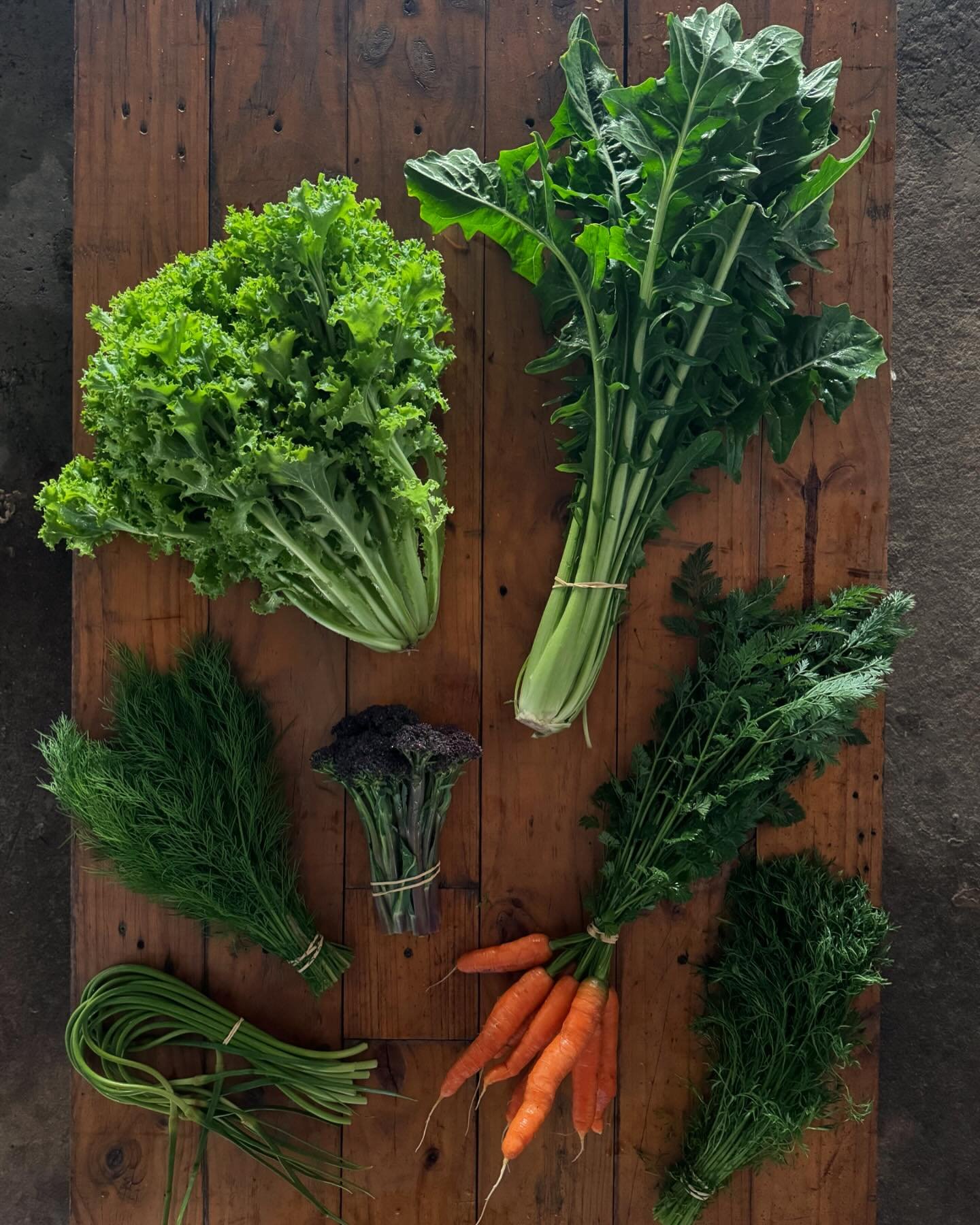 CSA shares this week include catalogna chicory, sprouting broccoli, dill, carrots, delfino coriander, fris&eacute;e and garlic scapes from @banksia.kellevie 🫶🫶🫶

#communitysupportedagriculture