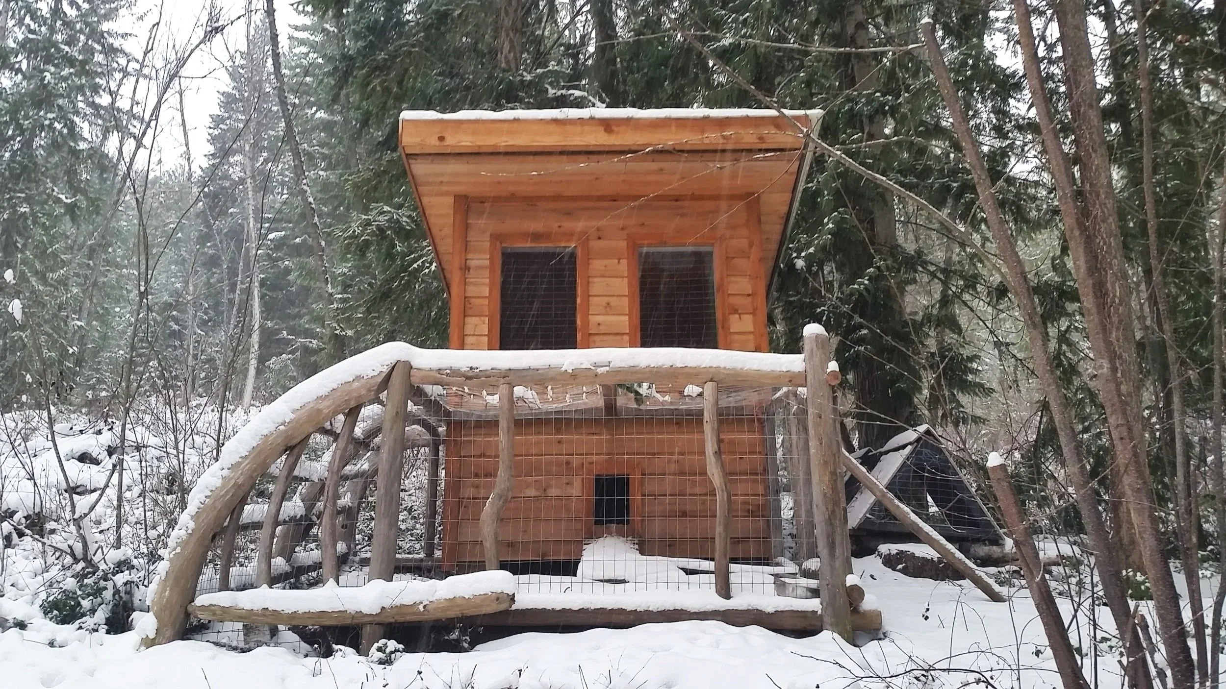 Chicken Coop