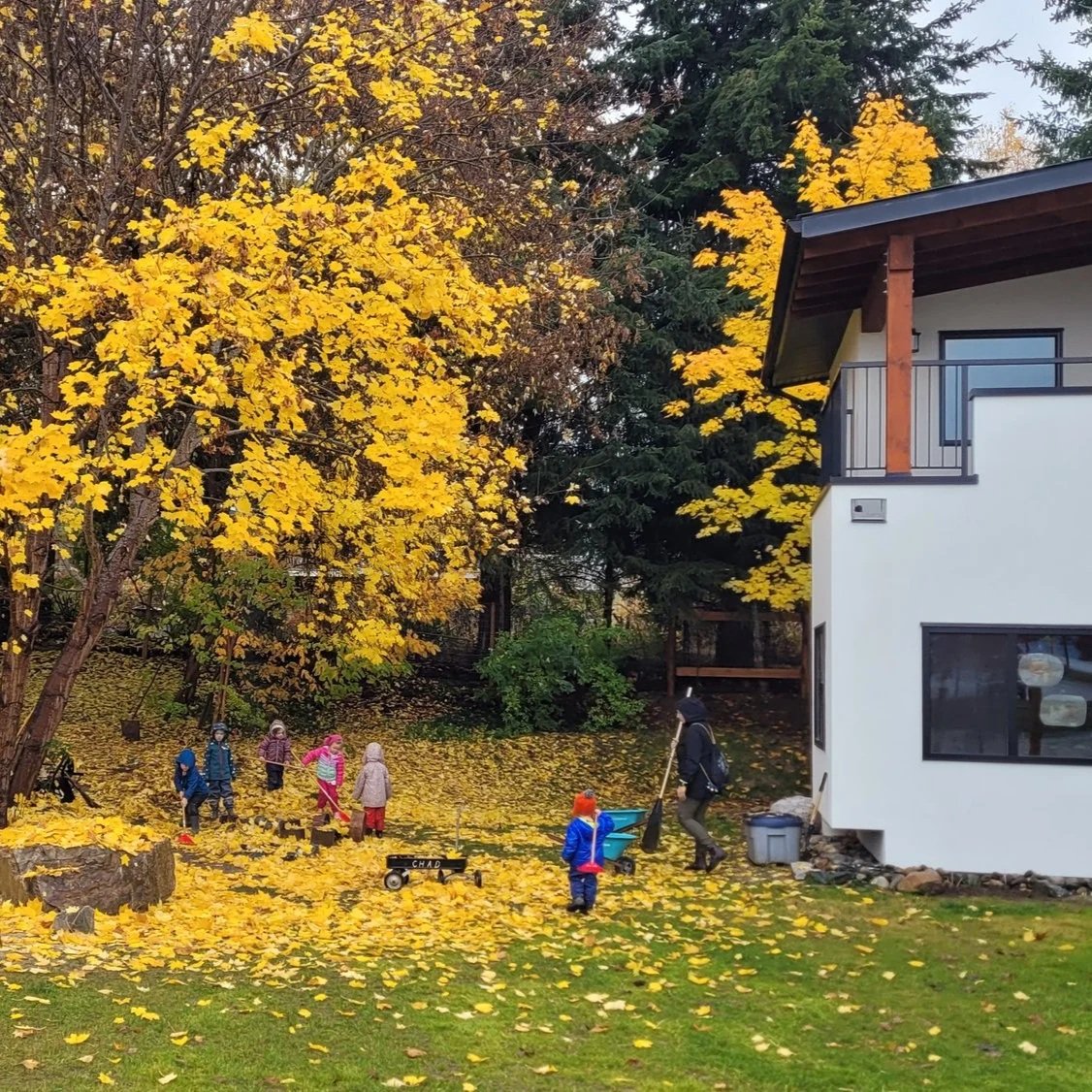 Back in Nature Daycare