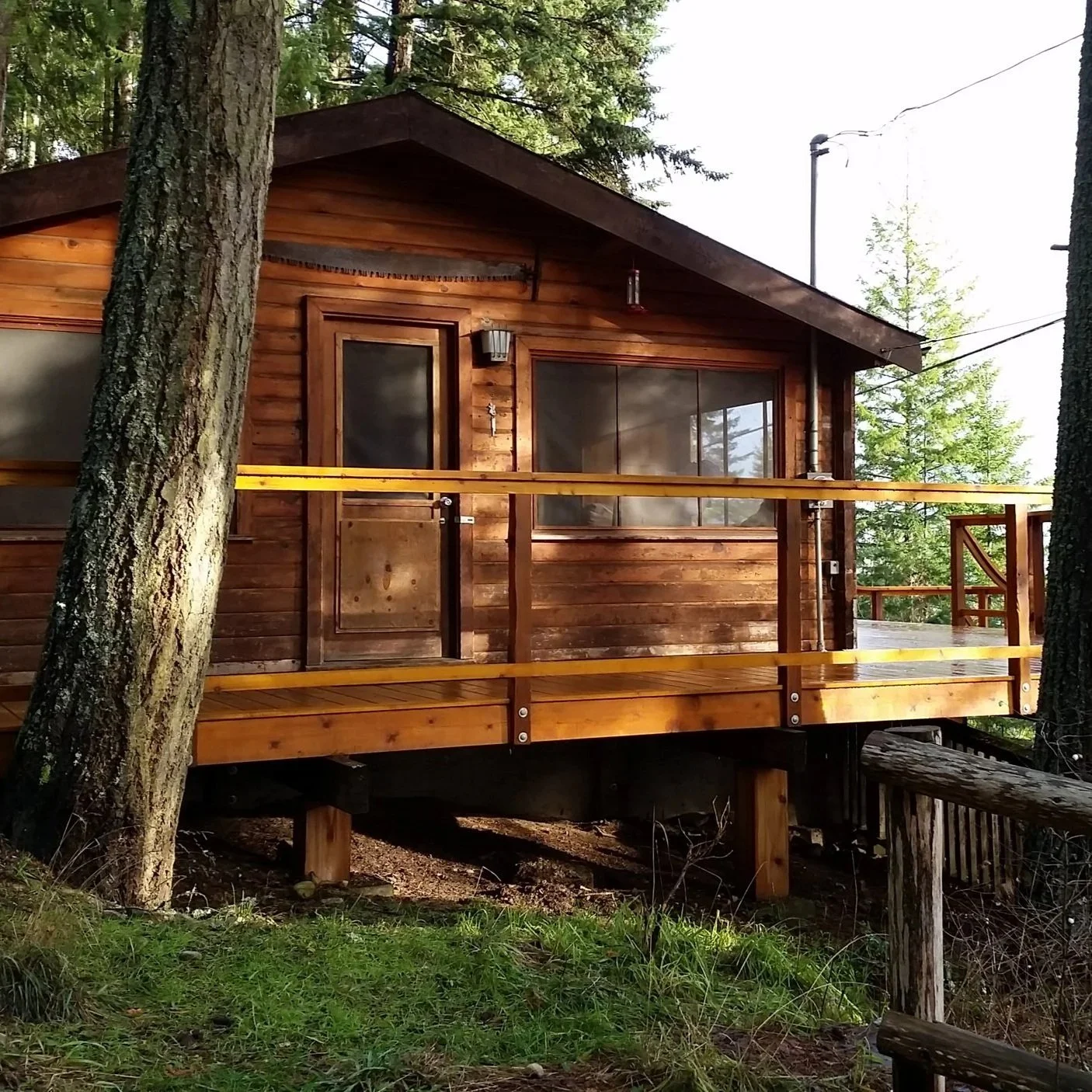 Home in the Woods