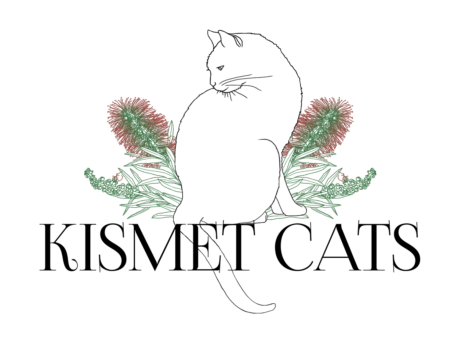 The whole native family — Cat Toys - Kismet Cats