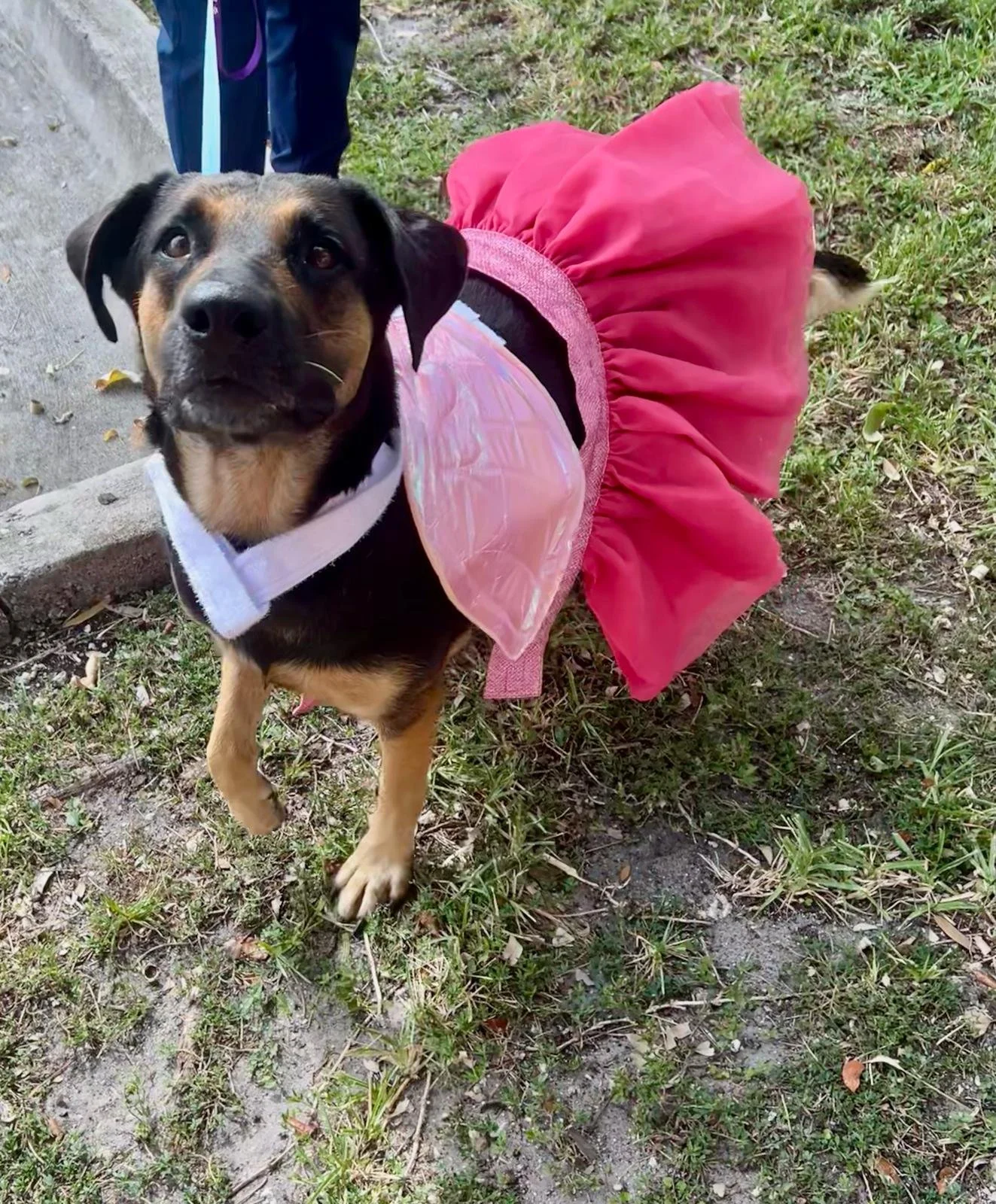 PHOTO-2025-08-08-19-48-10 2.jpg