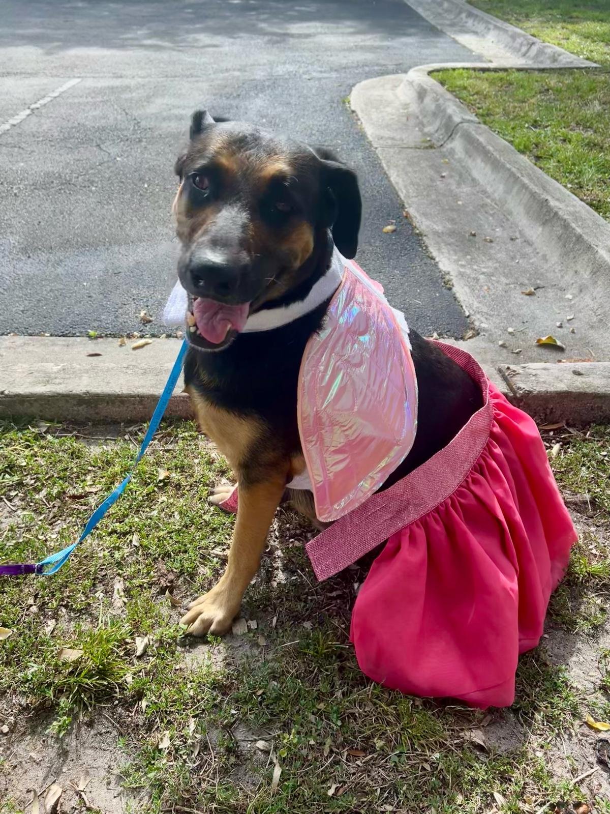 PHOTO-2025-08-08-19-48-10 3.jpg