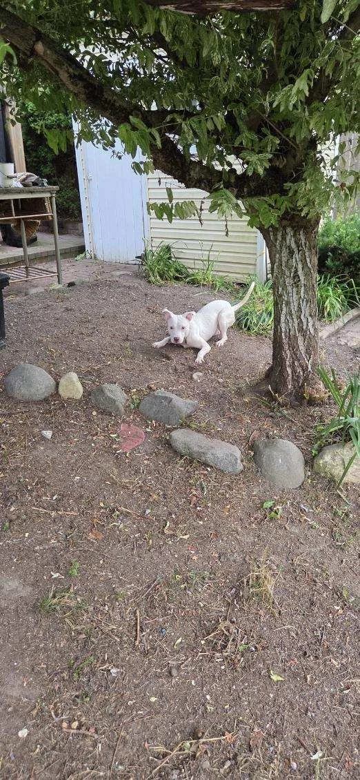 image000001.JPG