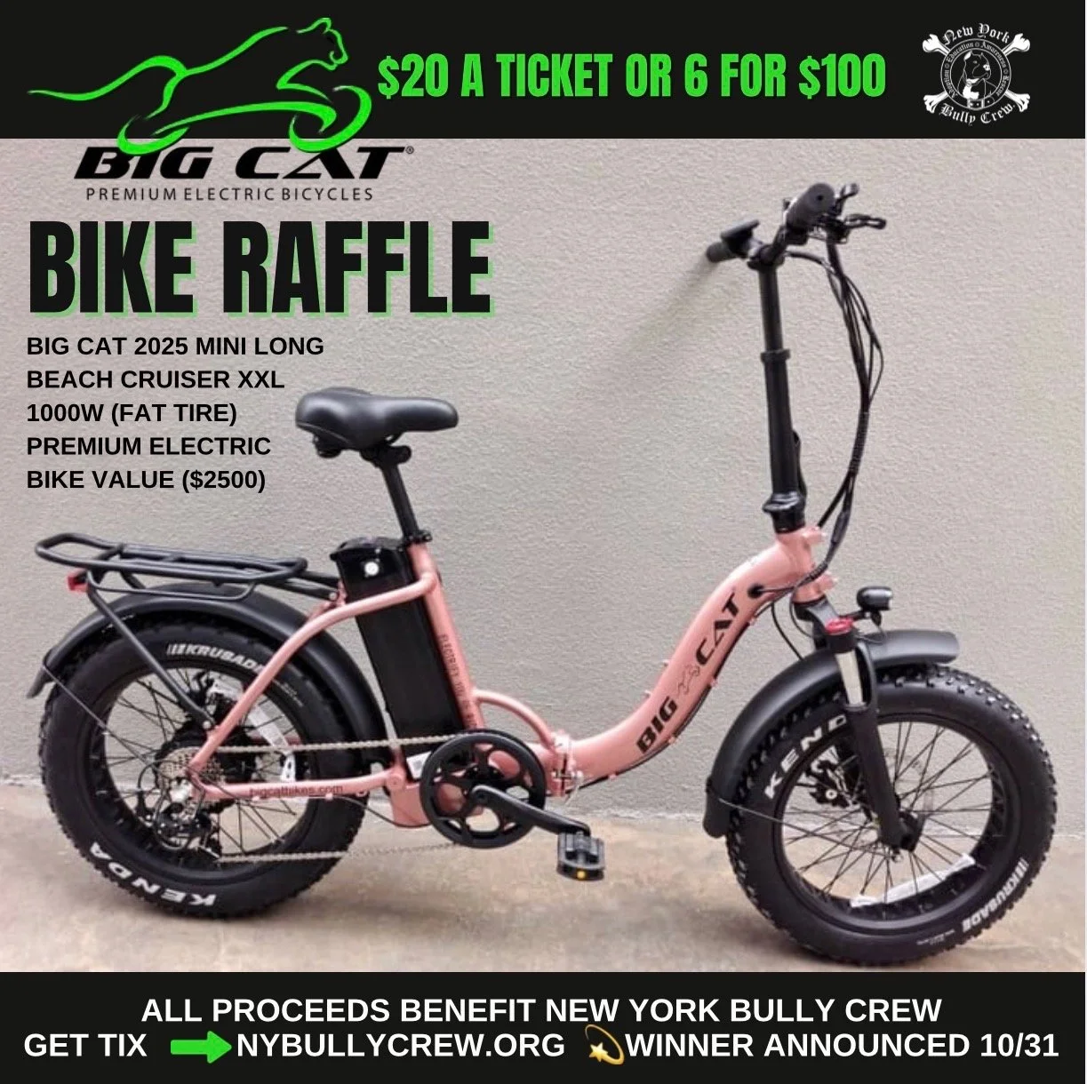 Cat Bike Raffle