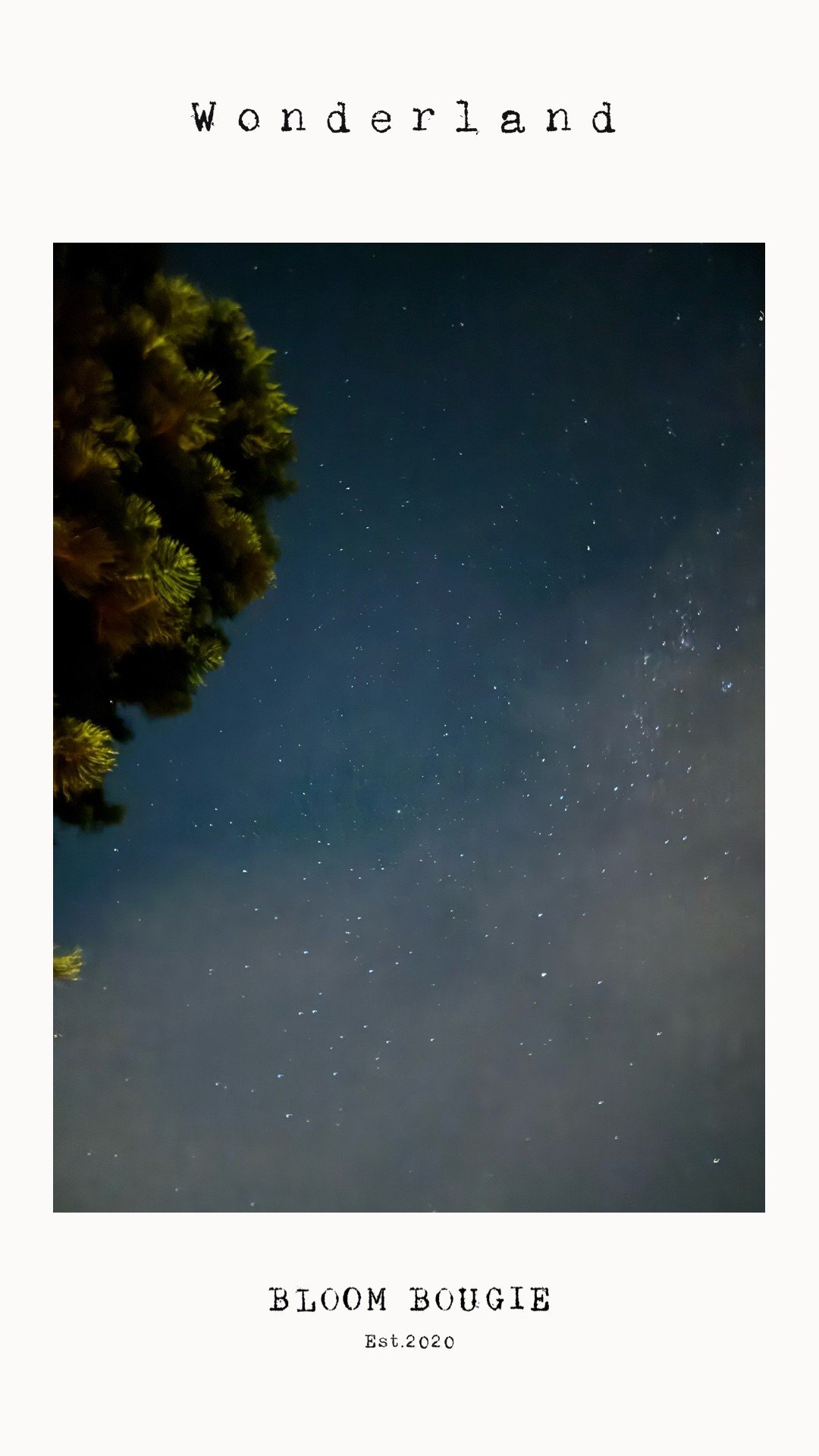 WONDERLAND FRAGRANCE CARD.jpg