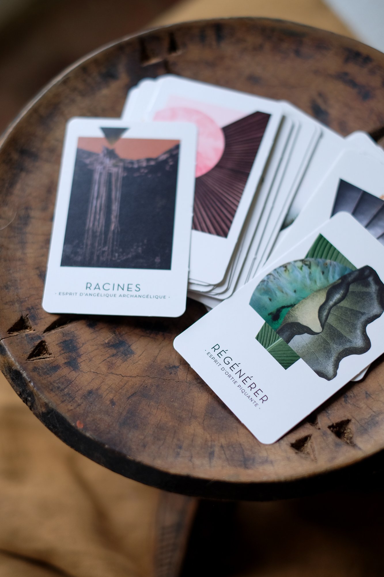 Cartes du livre Reliance de Gaëlle Faure