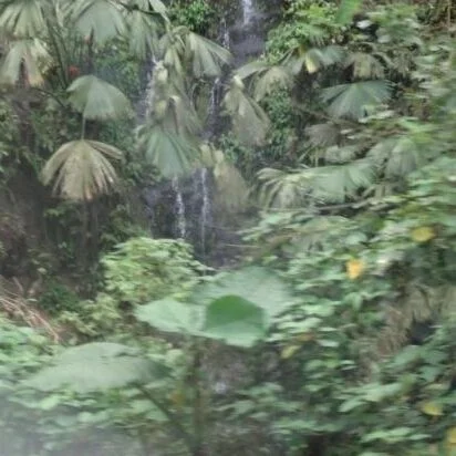 Waterfall 2