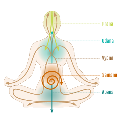 Pancha Vayus — Judi Does Yoga