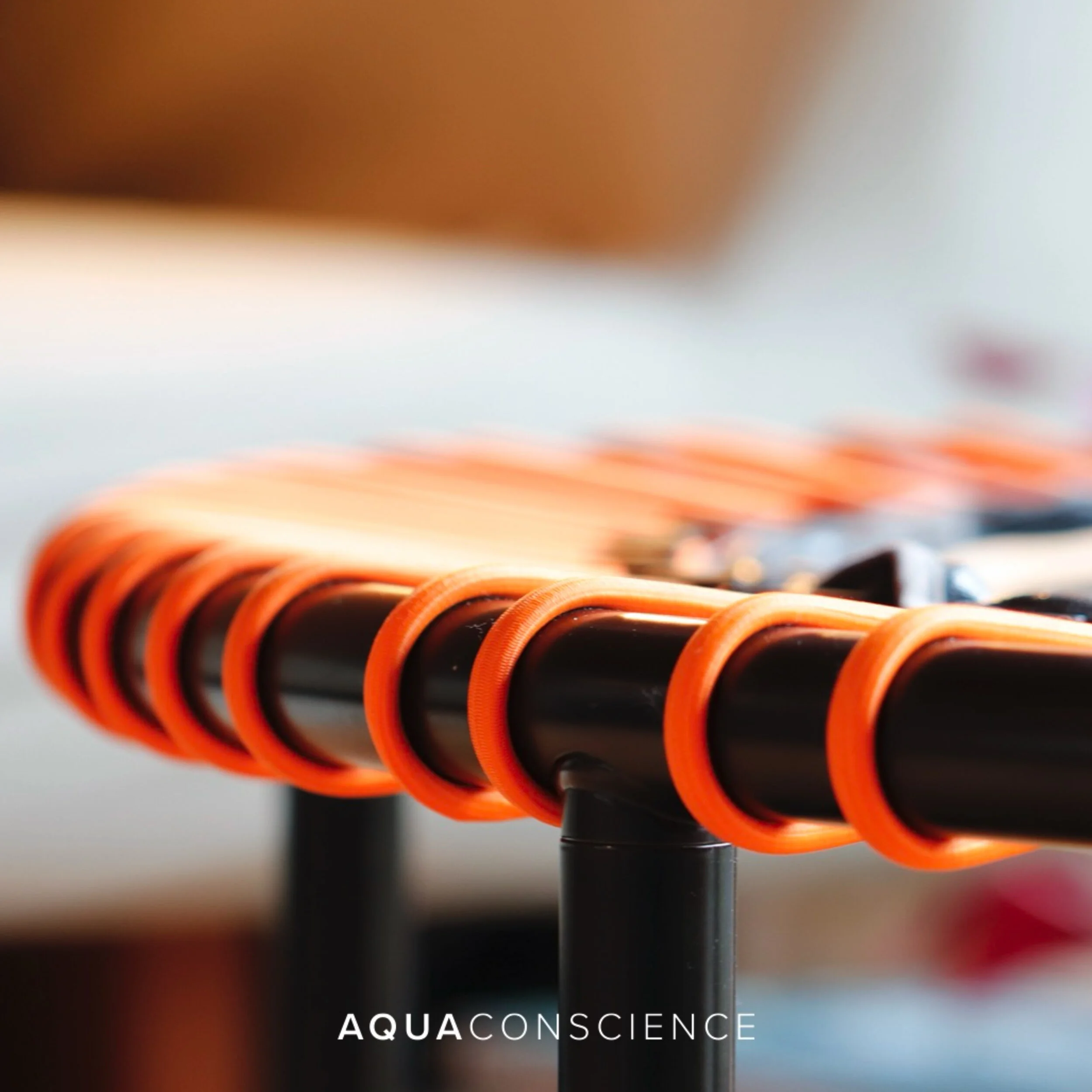 bellicon 2 vierkant.jpeg