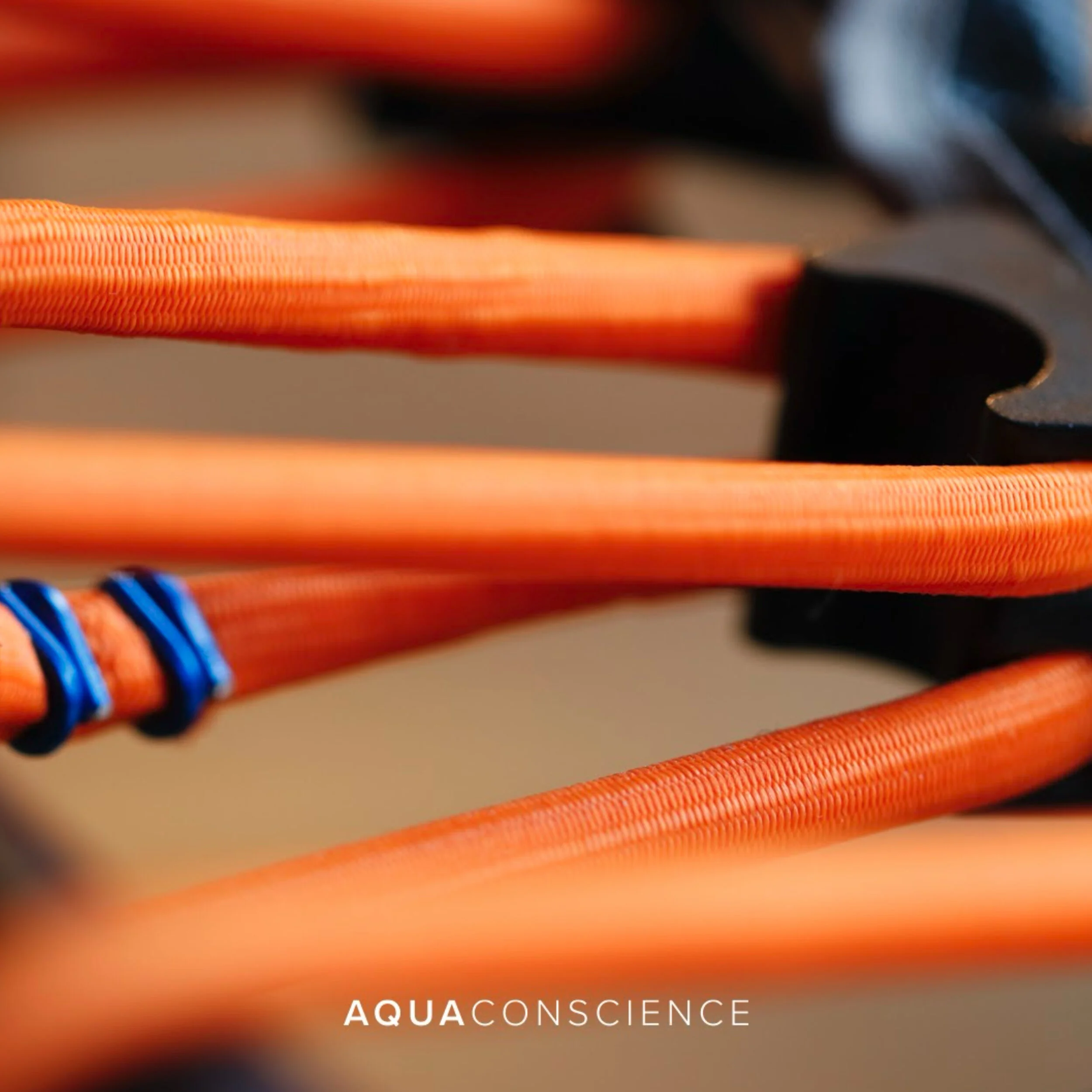 bellicon vierkant.jpeg